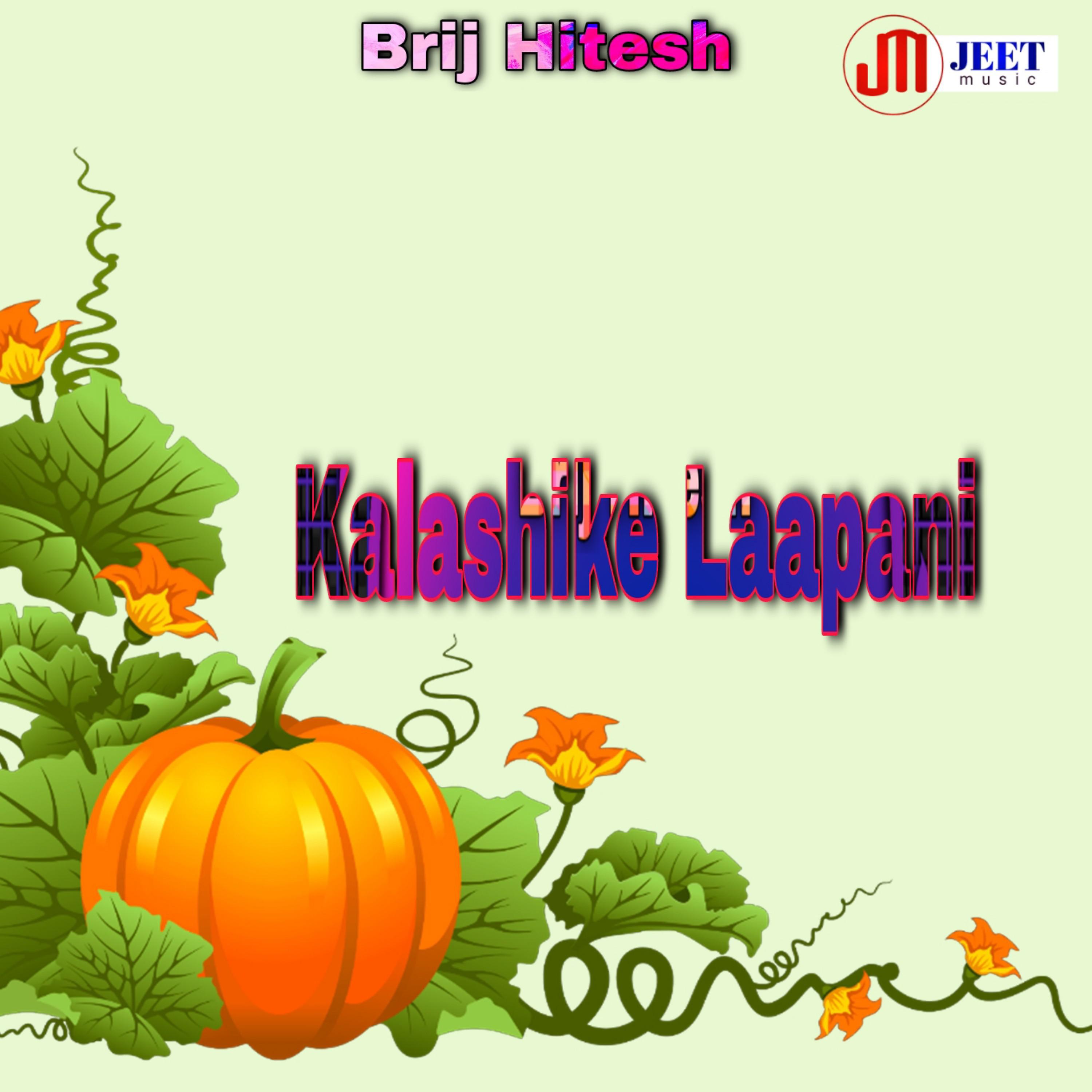 Постер альбома Kalashike Laapani