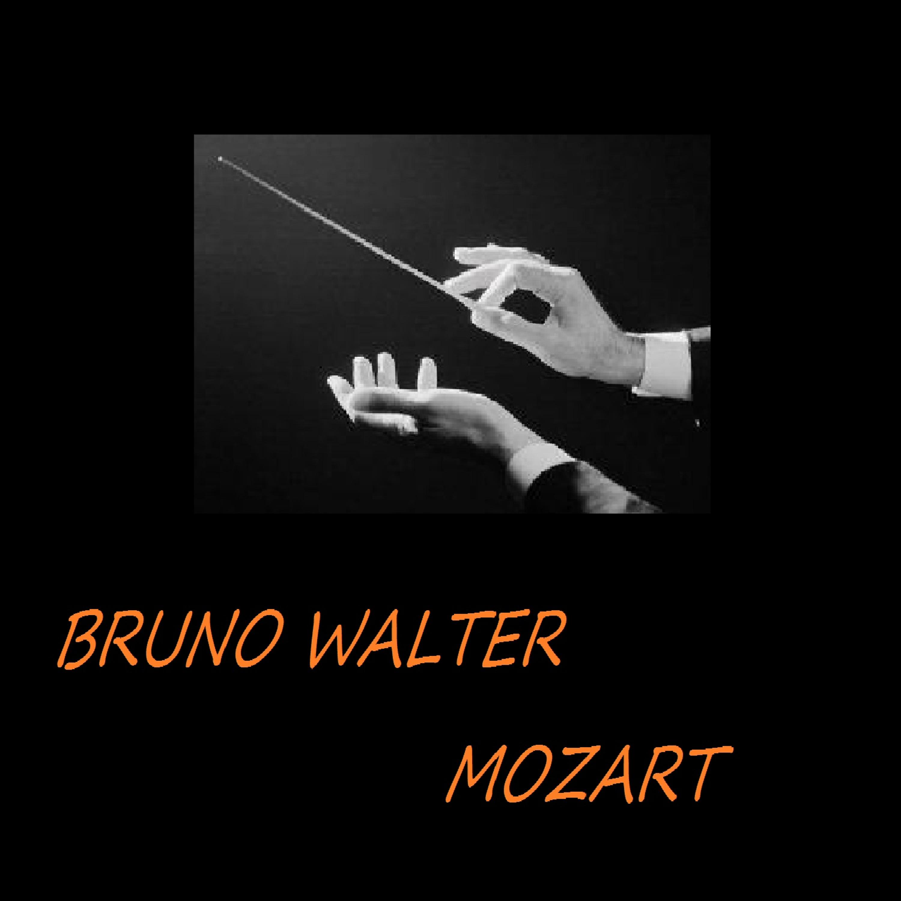 Постер альбома Bruno Walter - Mozart