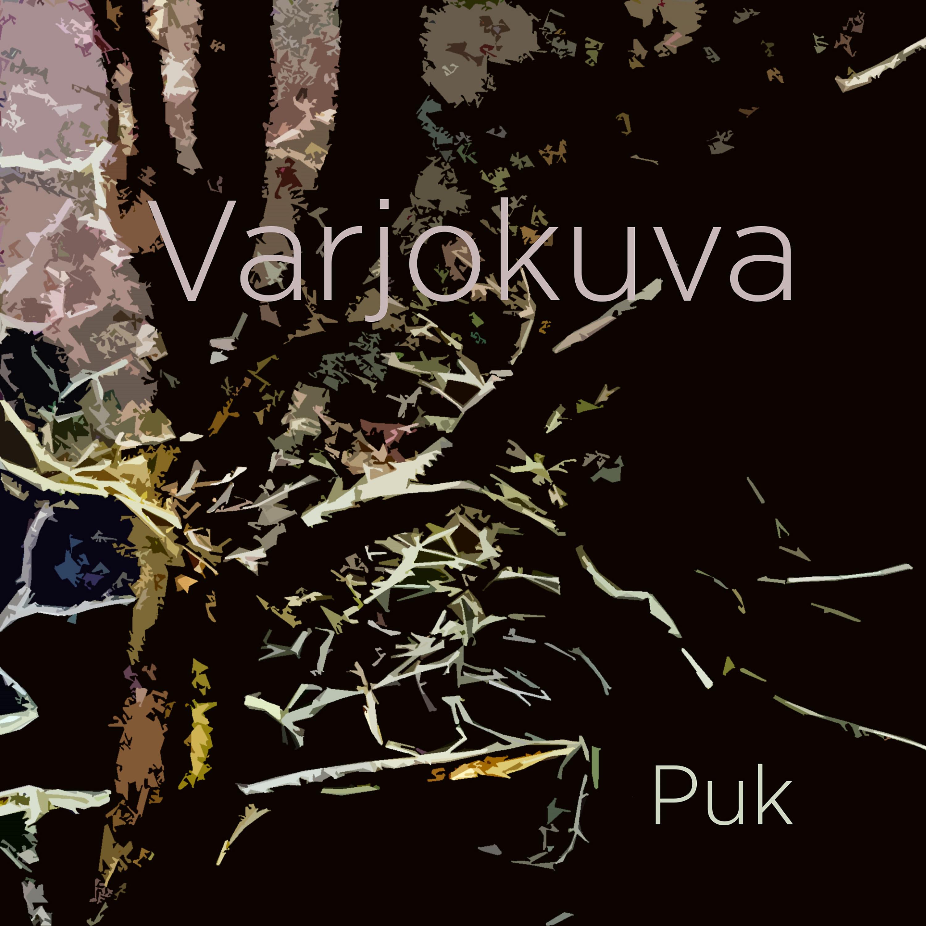 Постер альбома Varjokuva