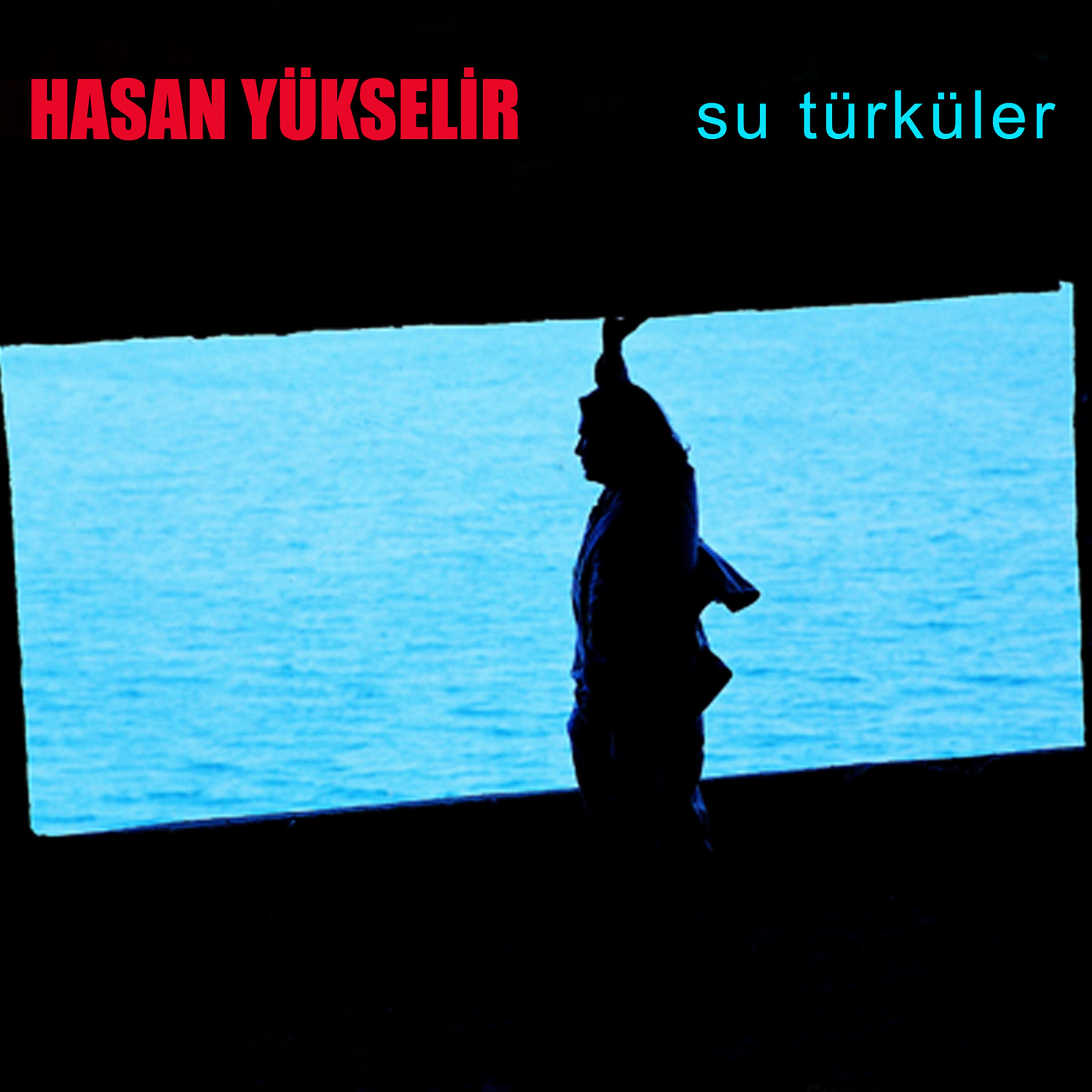 Постер альбома Su Türküler