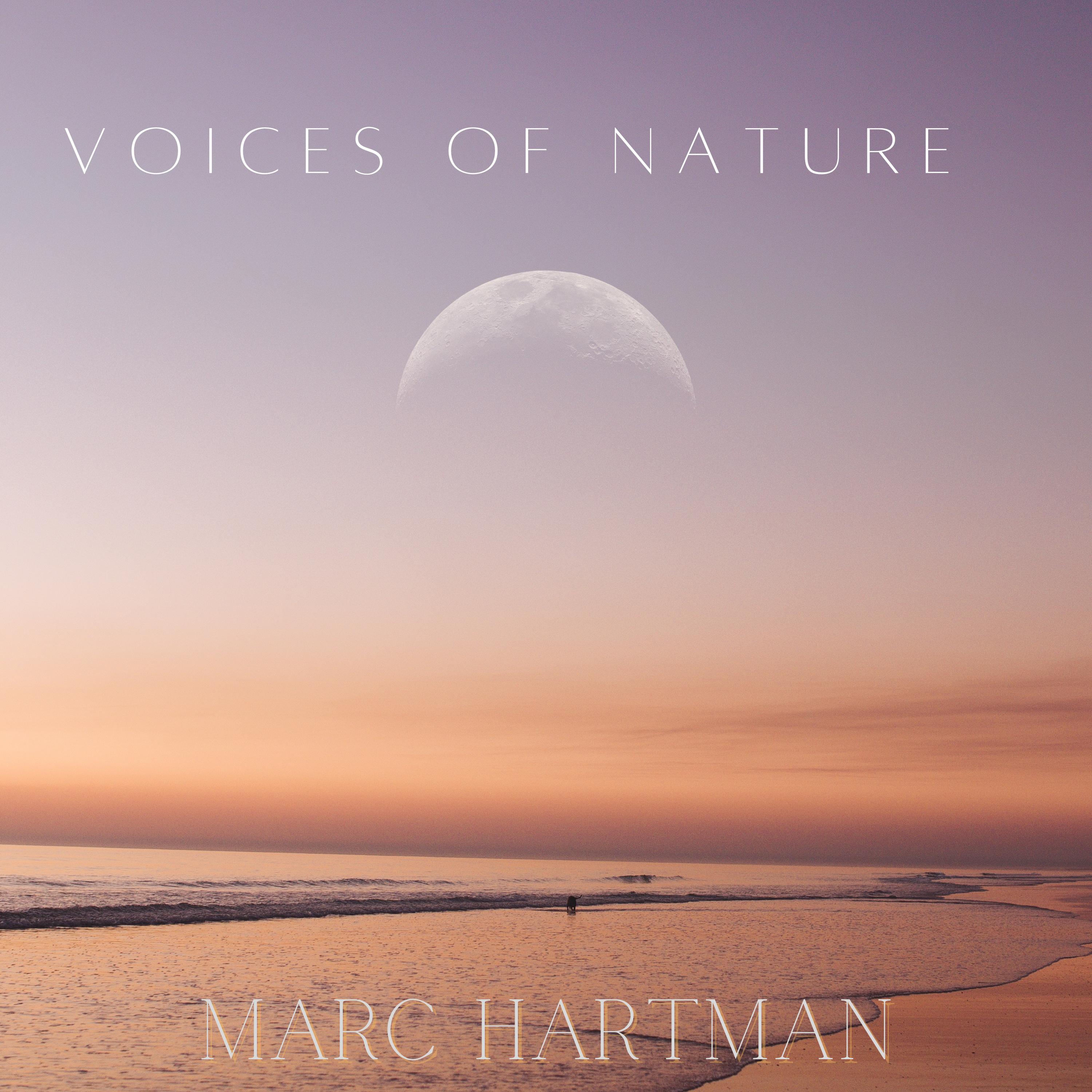 Постер альбома Voices Of Nature