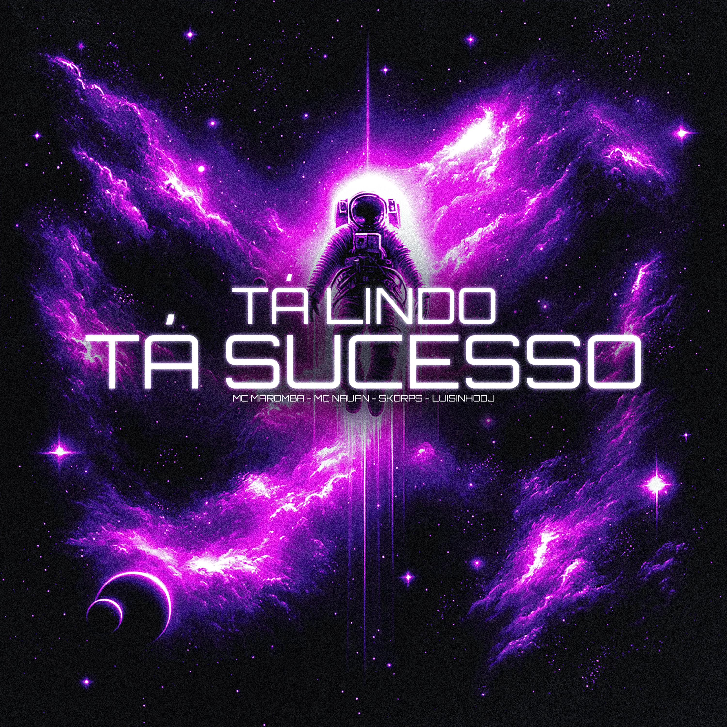 Постер альбома Tá Lindo, Tá Sucesso