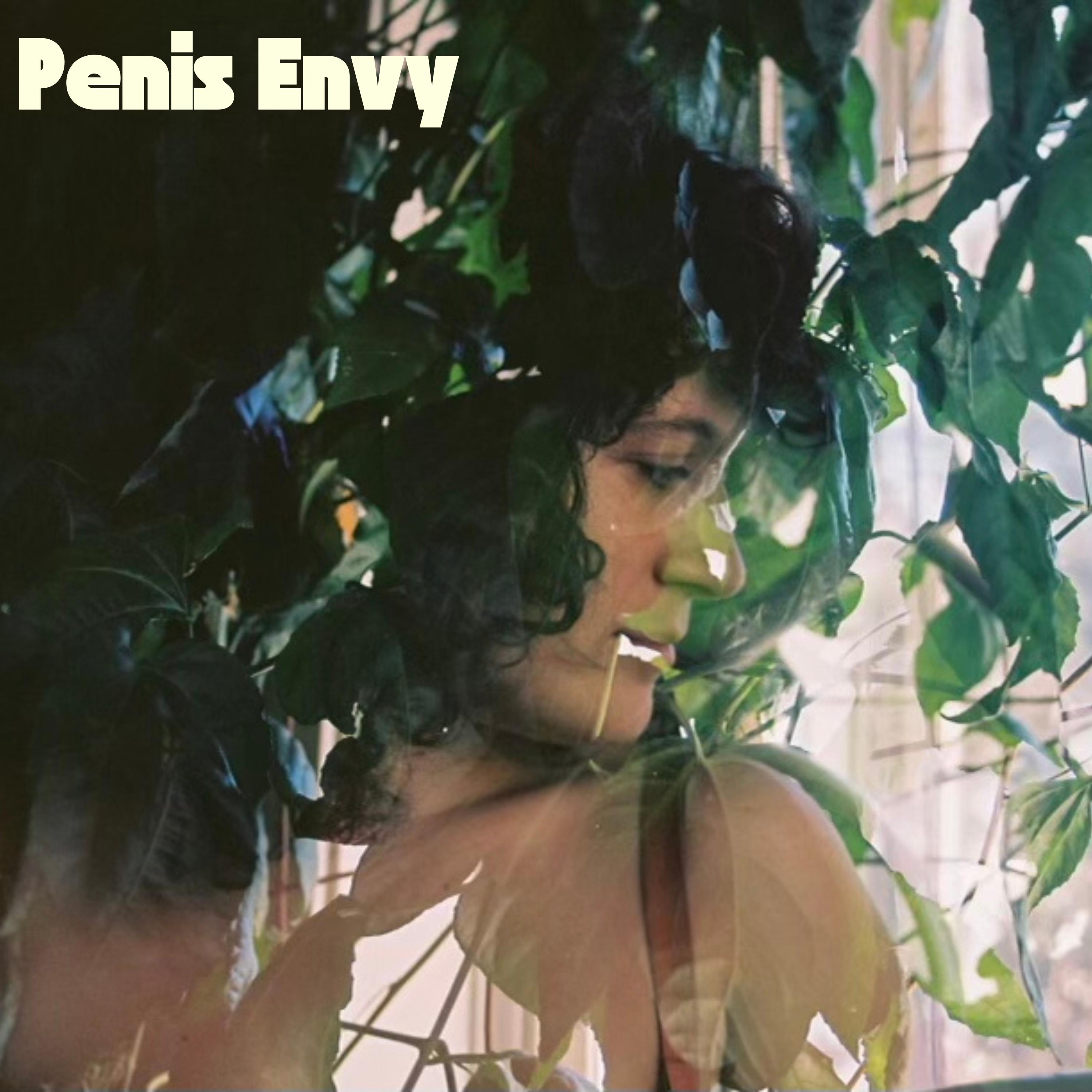 Постер альбома Penis Envy