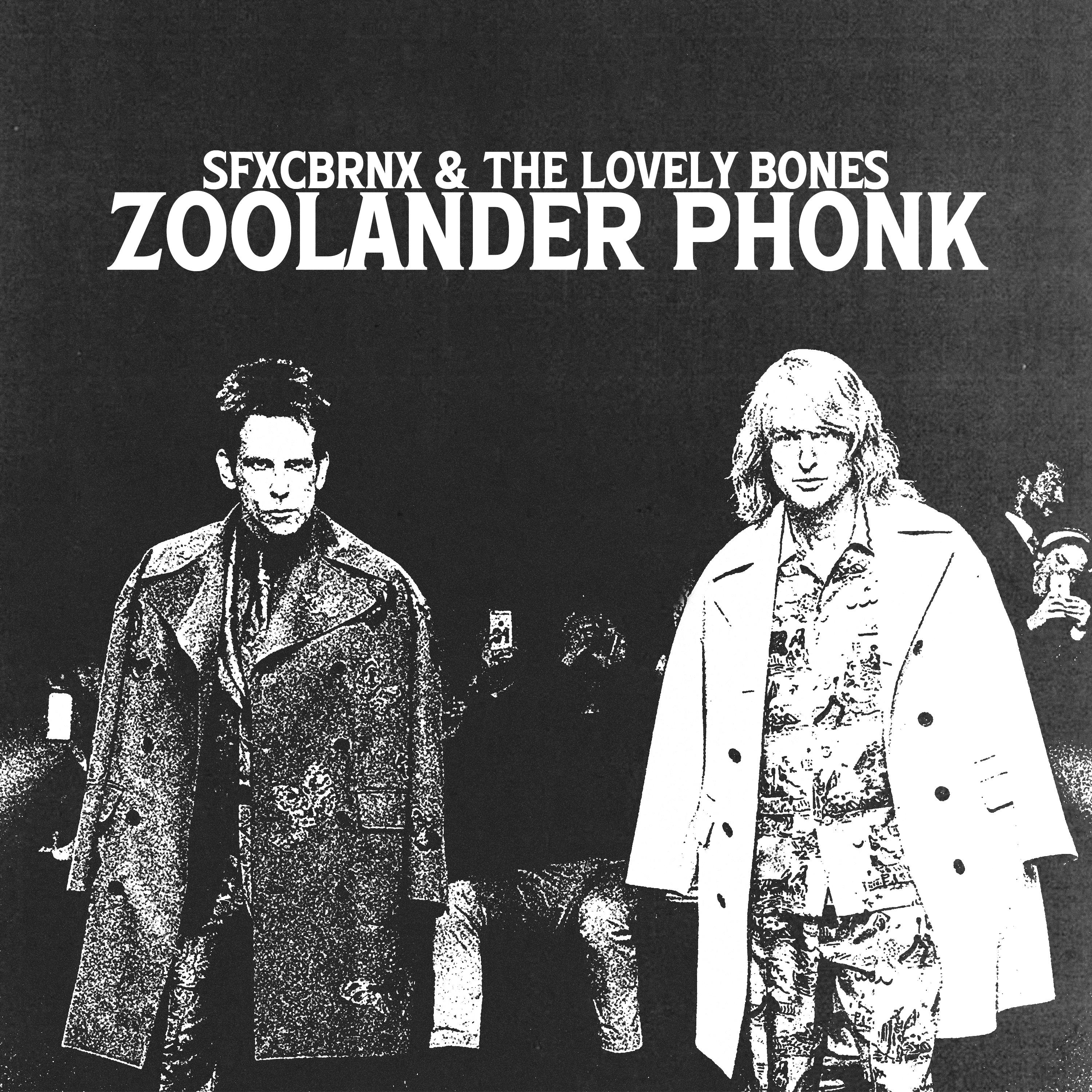 Постер альбома ZOOLANDER PHONK
