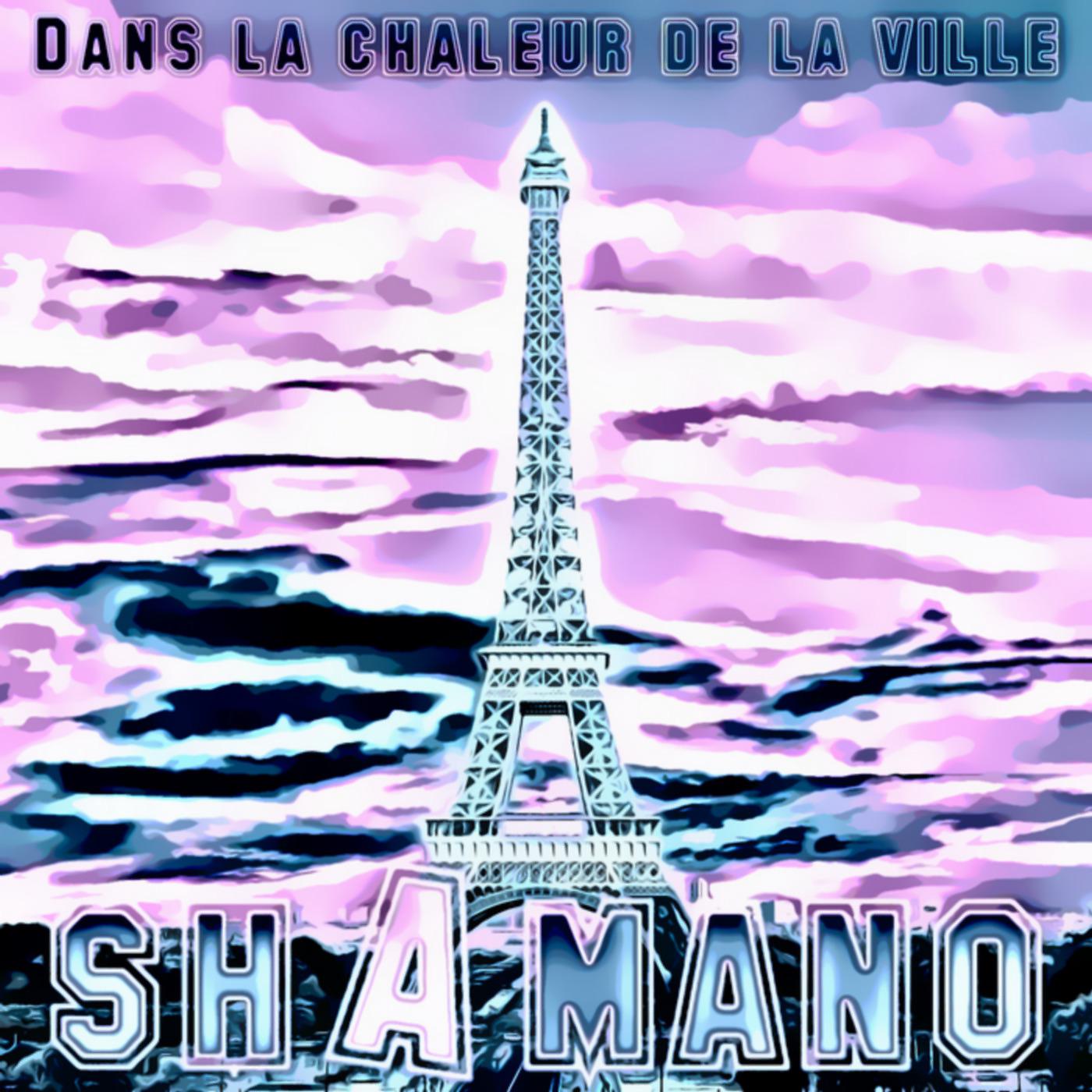 Постер альбома Dans la chaleur de la ville