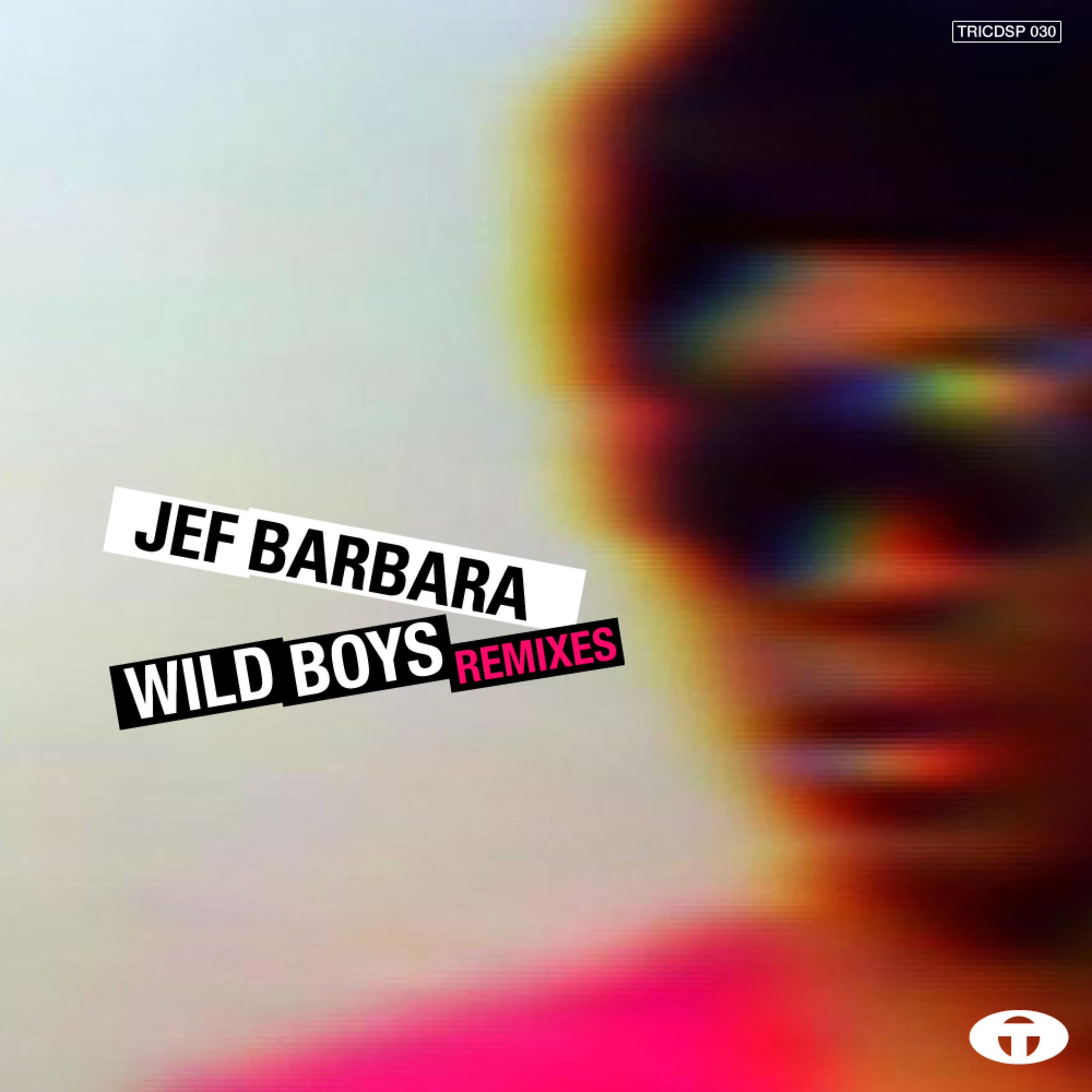 Постер альбома Wild Boys Remixes