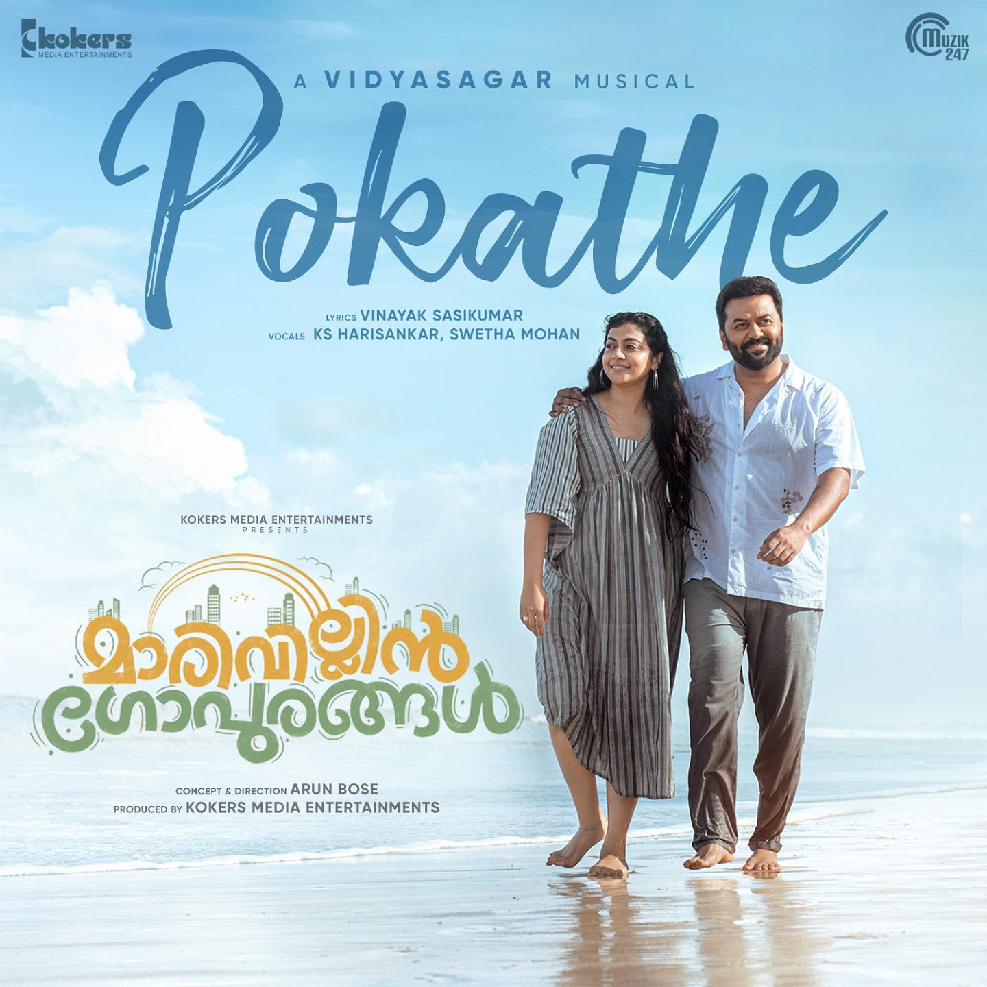 Постер альбома Pokathe