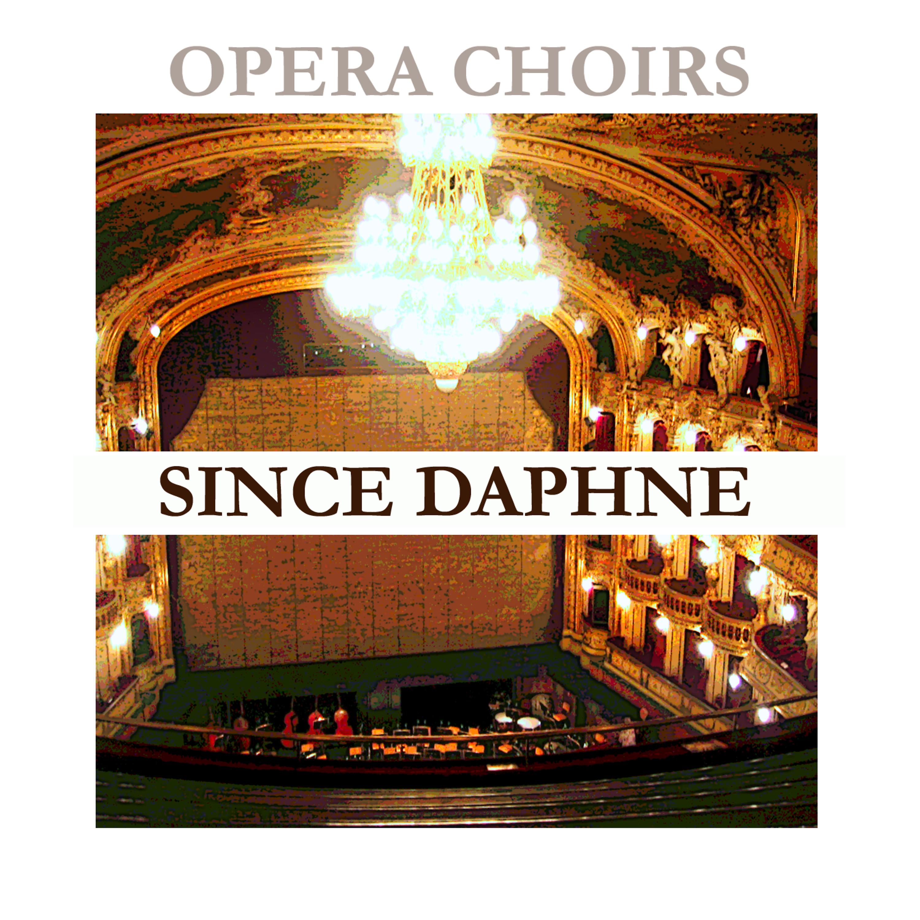 Постер альбома Opera Choirs - Since Daphne