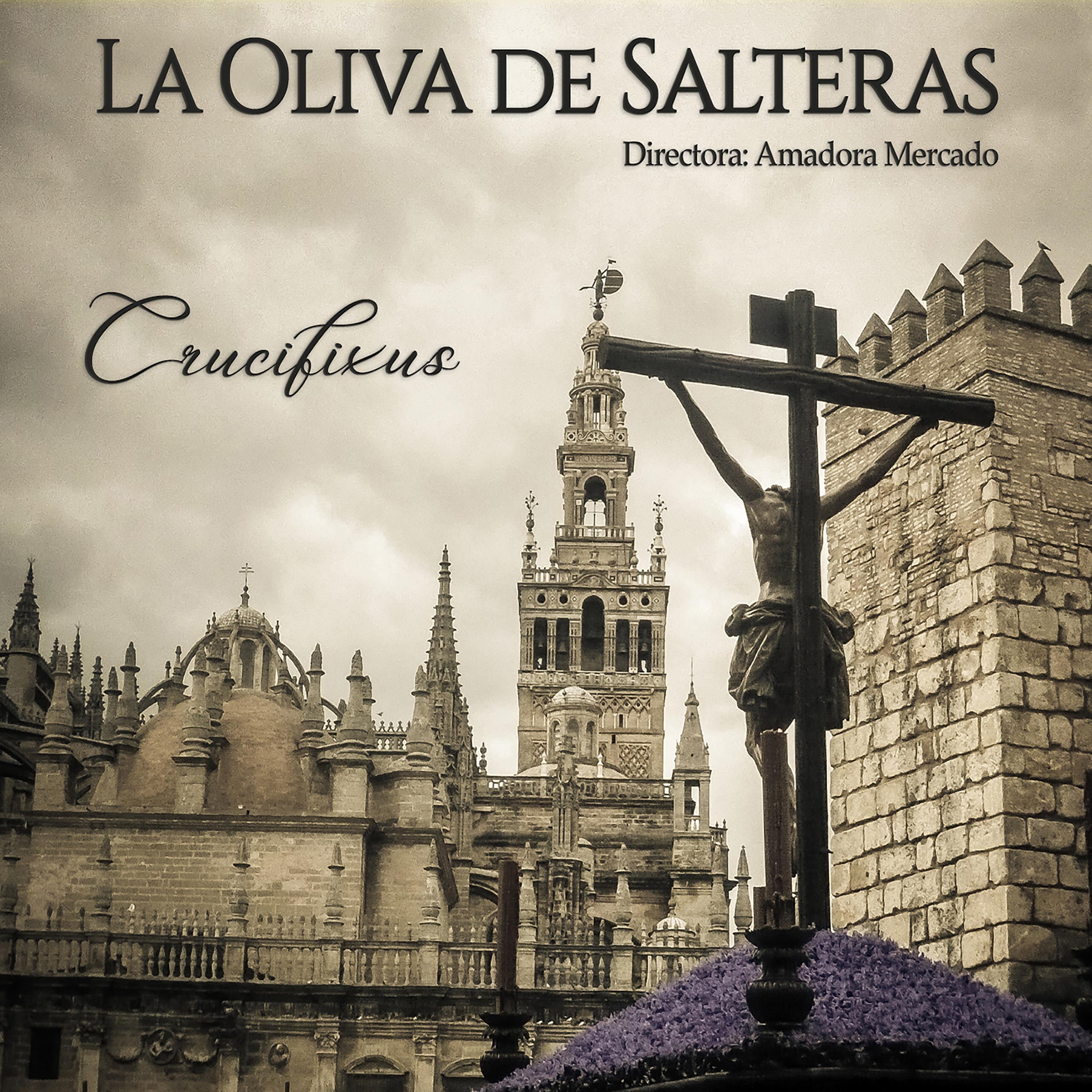 Постер альбома Crucifixus