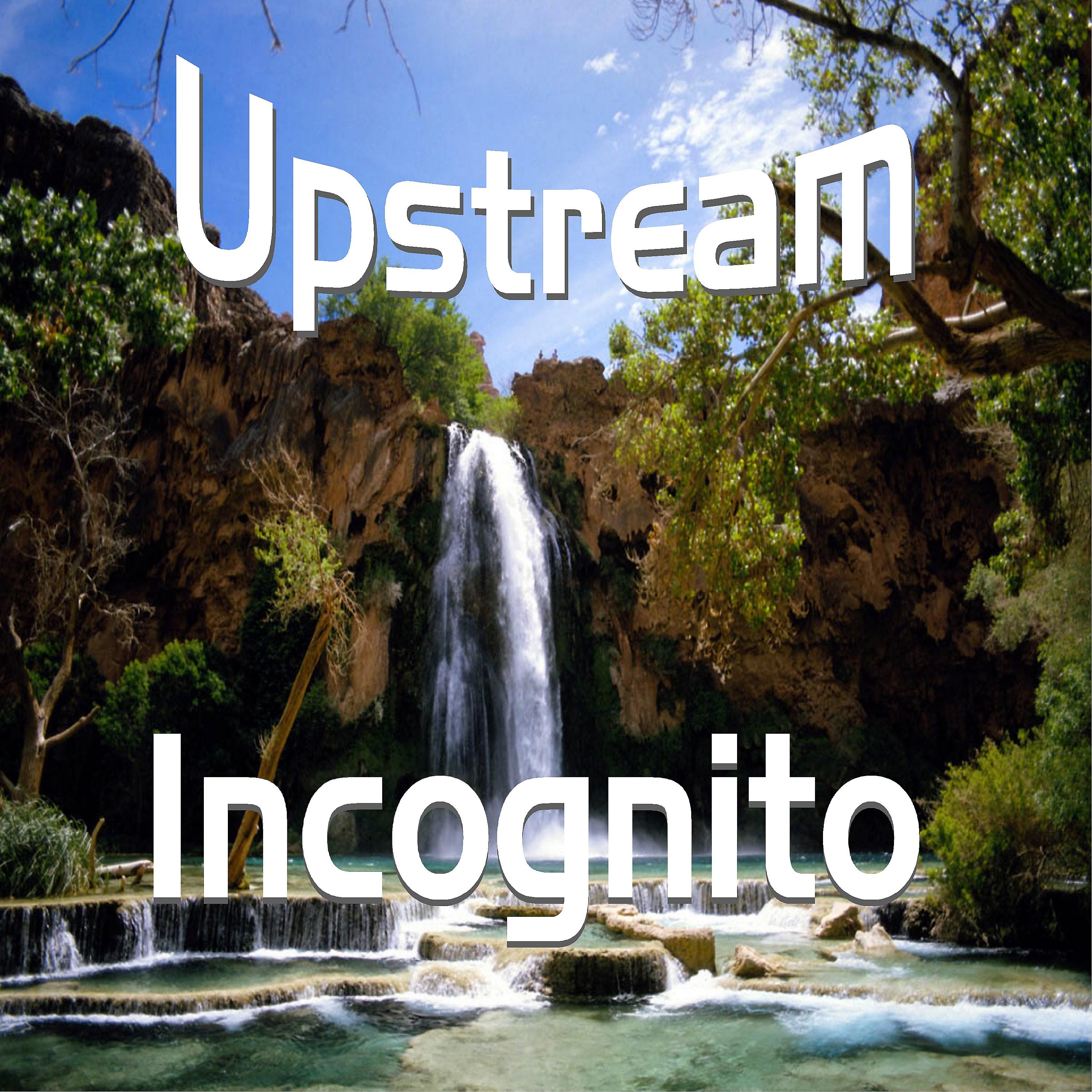 Постер альбома Upstream (A1)