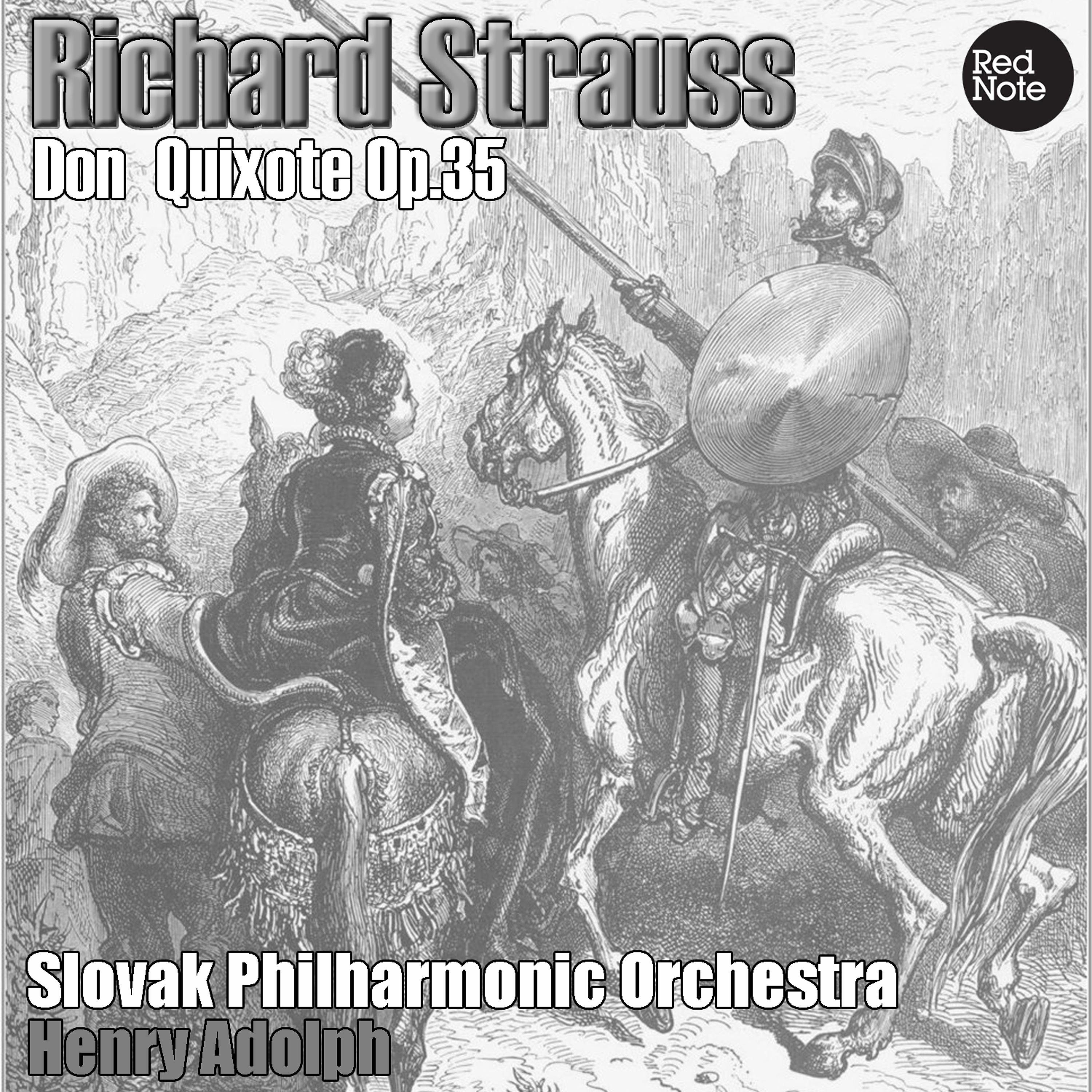 Постер альбома Strauss: Don Quixote, Op.35