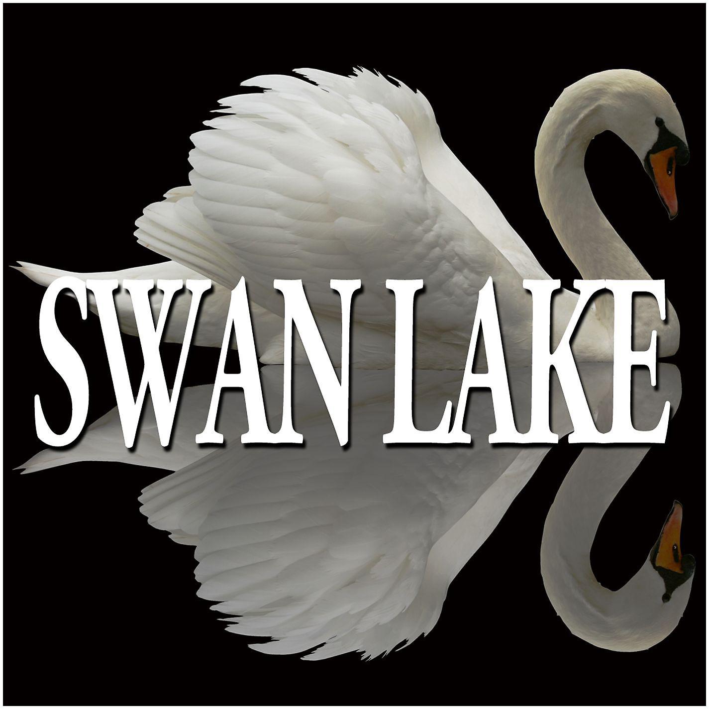 Постер альбома Tchaikovsky: Suites from Swan Lake, Op. 20a & The Sleeping Beauty, Op. 66a