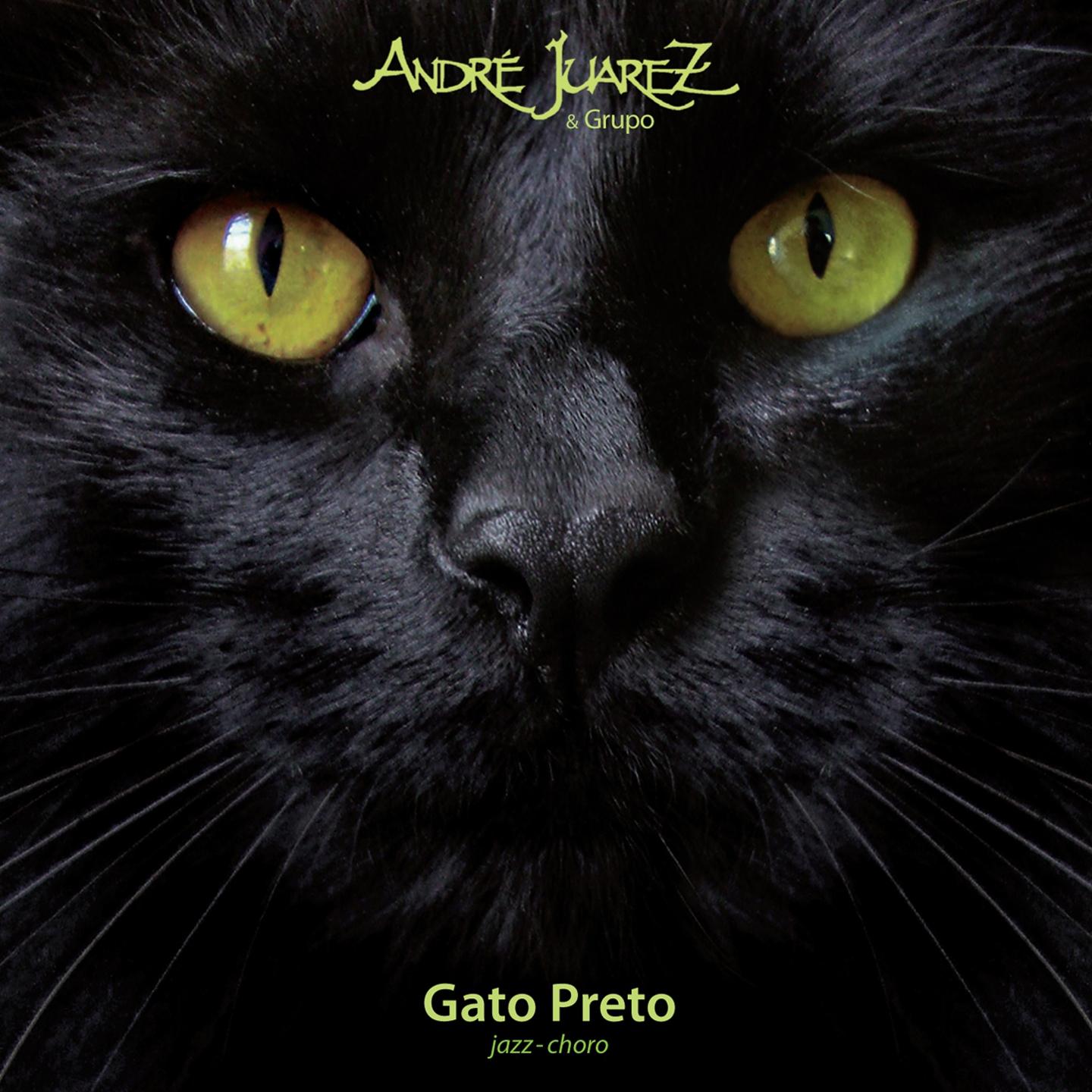 Постер альбома Gato Preto