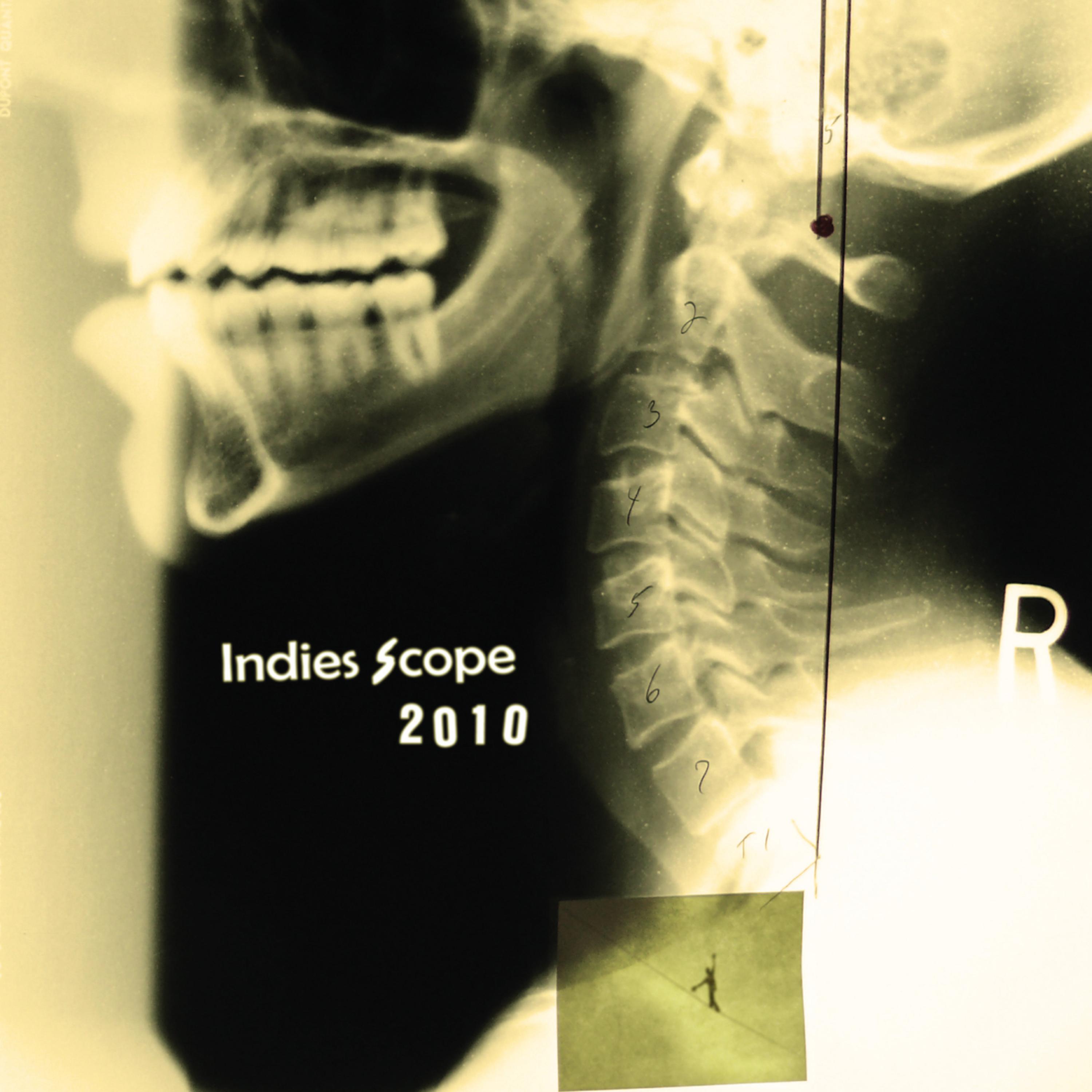Постер альбома Indies Scope 2010
