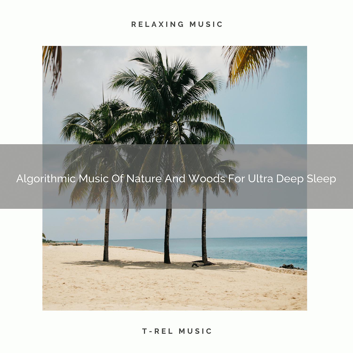Постер альбома Algorithmic Music Of Nature And Woods For Ultra Deep Sleep