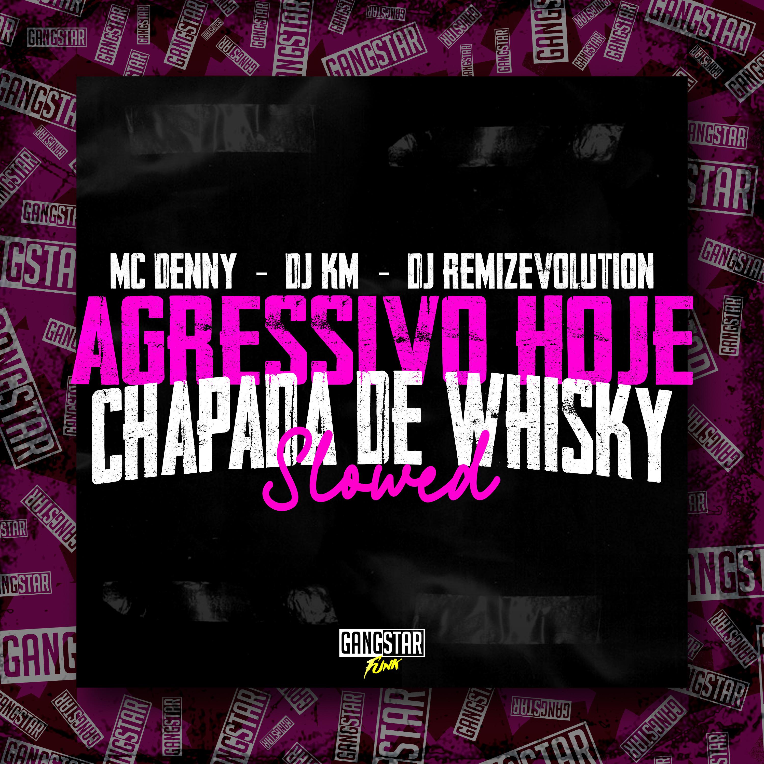 Постер альбома Agressivo Hoje Chapada de Whisky (Slowed)