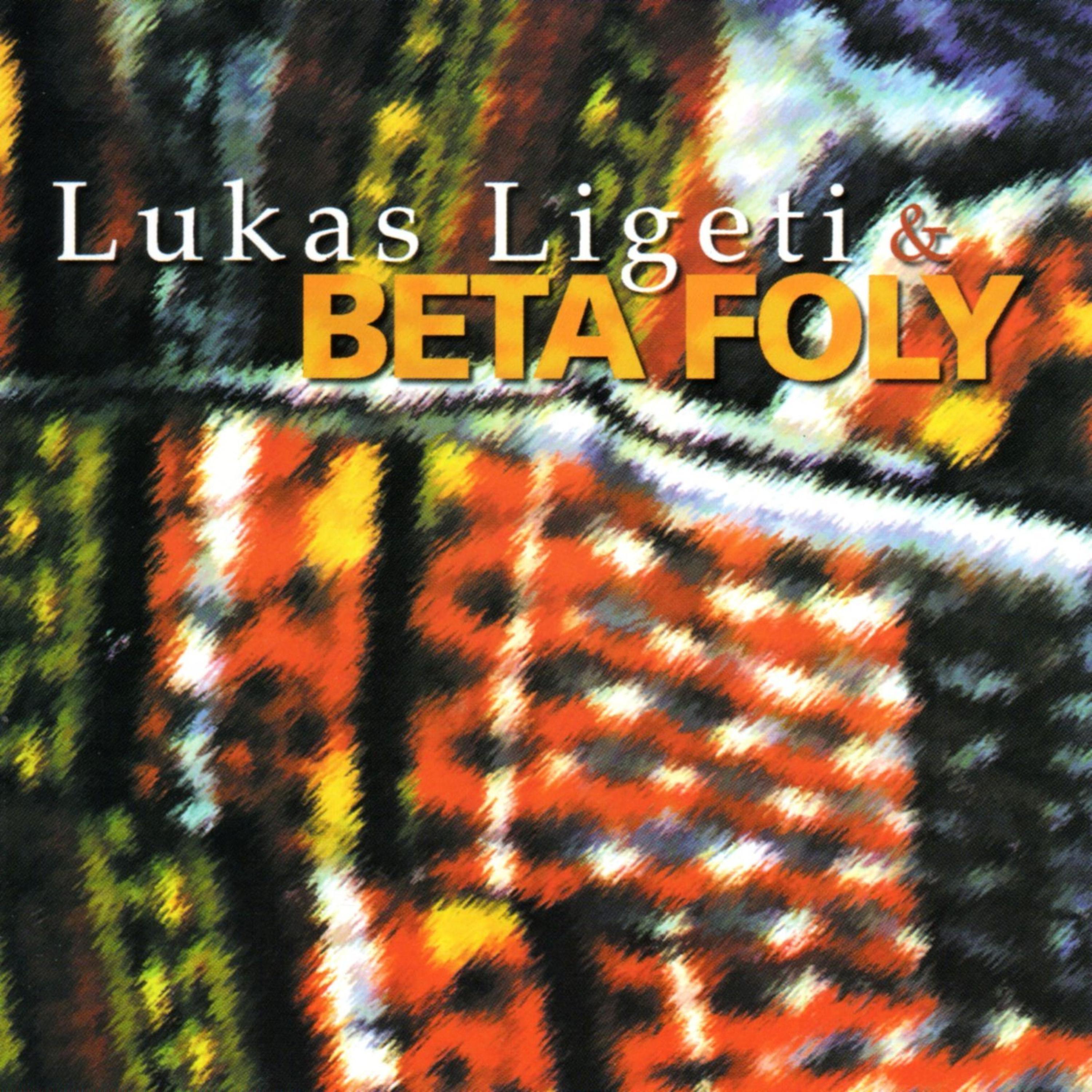 Постер альбома Lukas Ligeti & Beta Foly