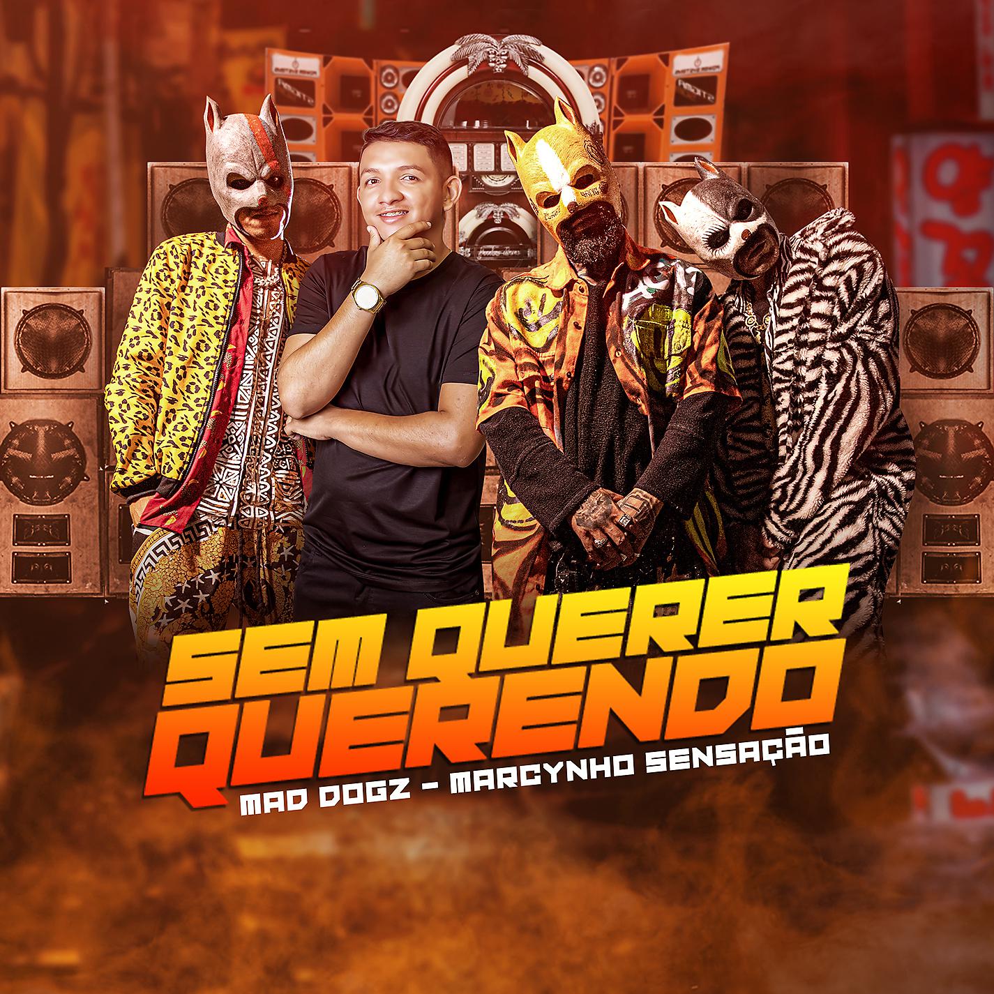 Постер альбома Sem Querer Querendo