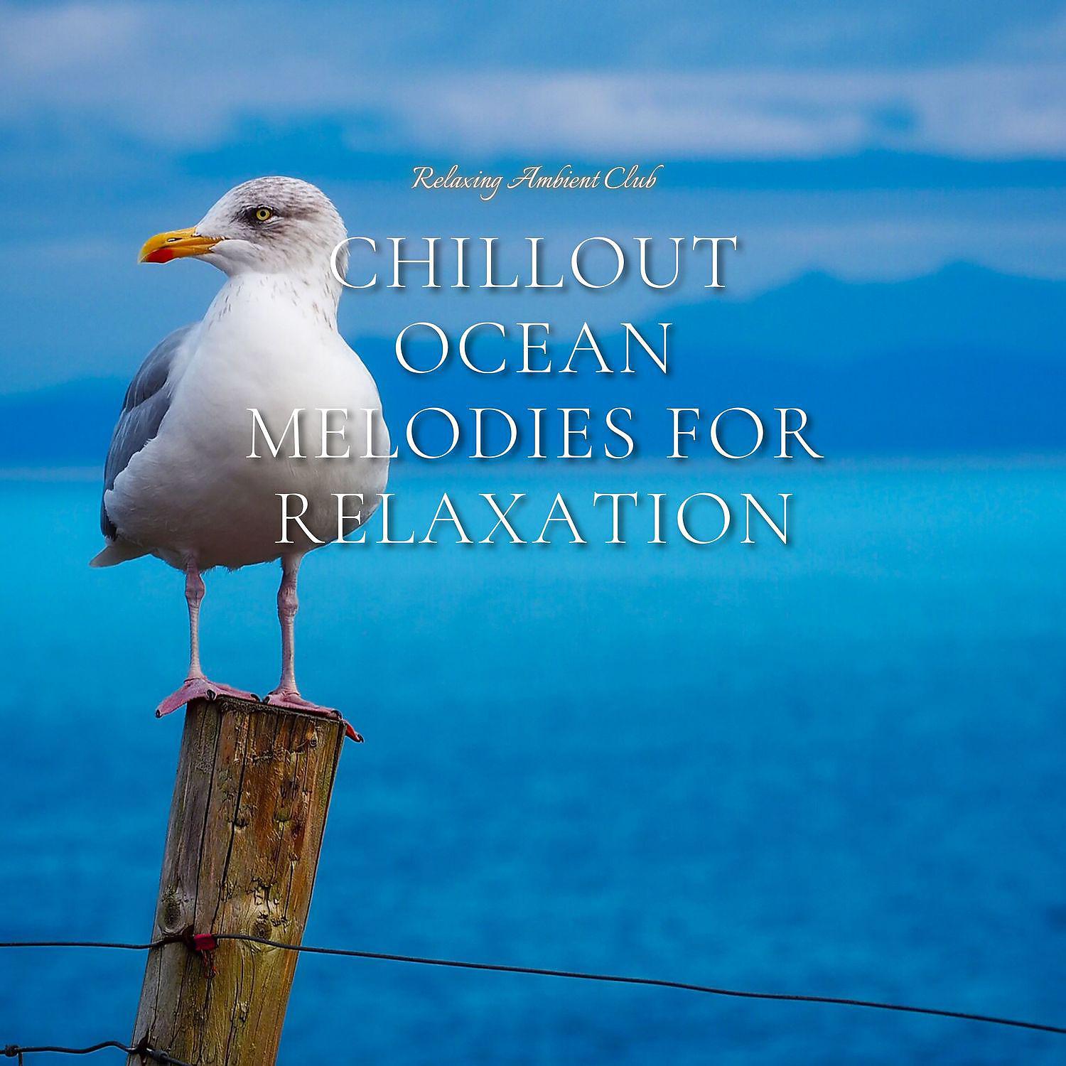 Постер альбома Chillout Ocean Melodies for Relaxation