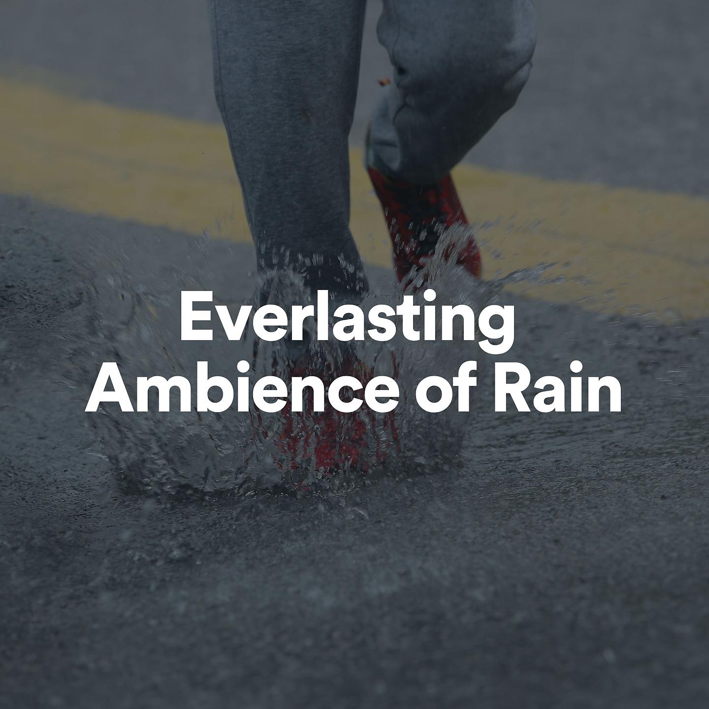 Постер альбома Everlasting Ambience of Rain