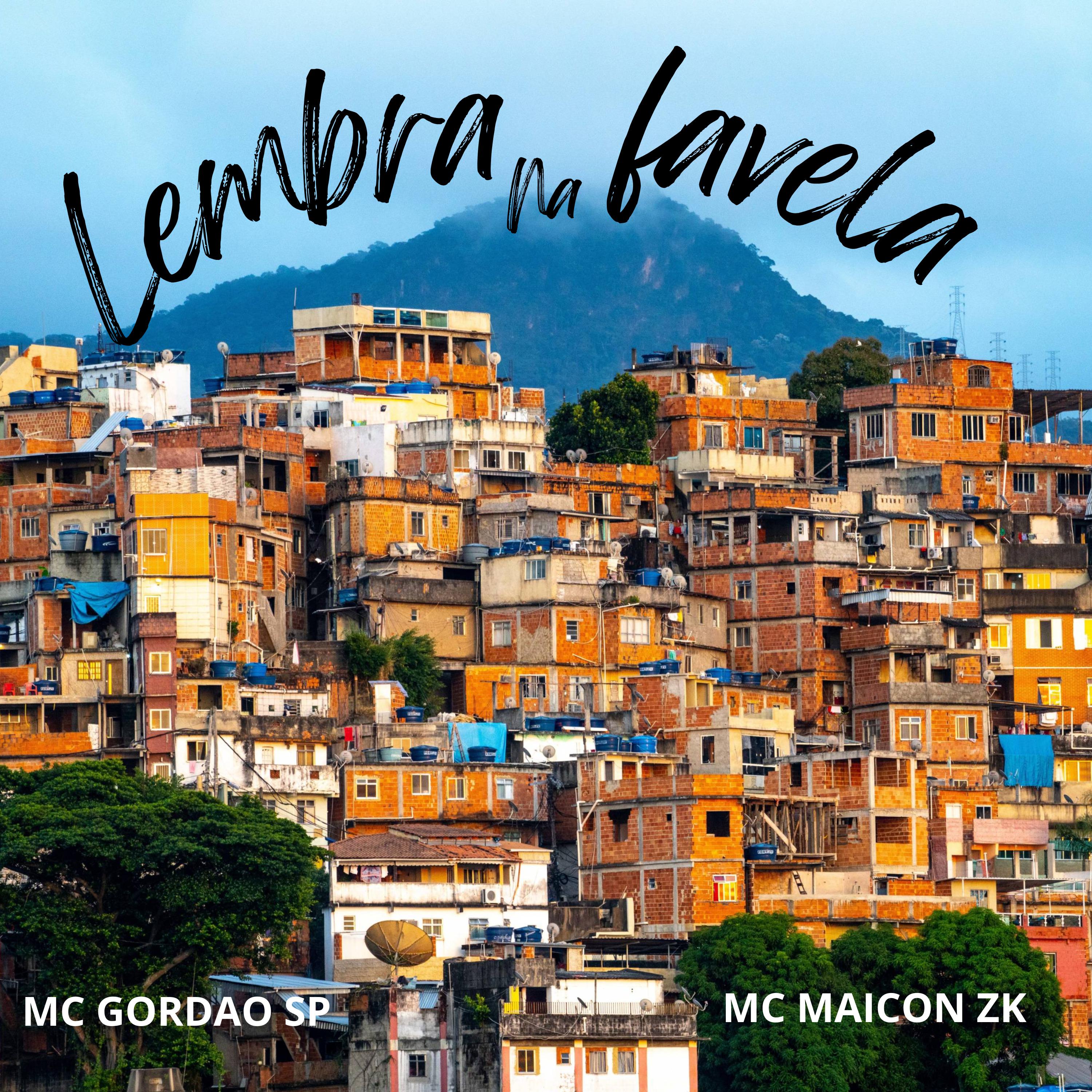 Постер альбома Lembra na Favela