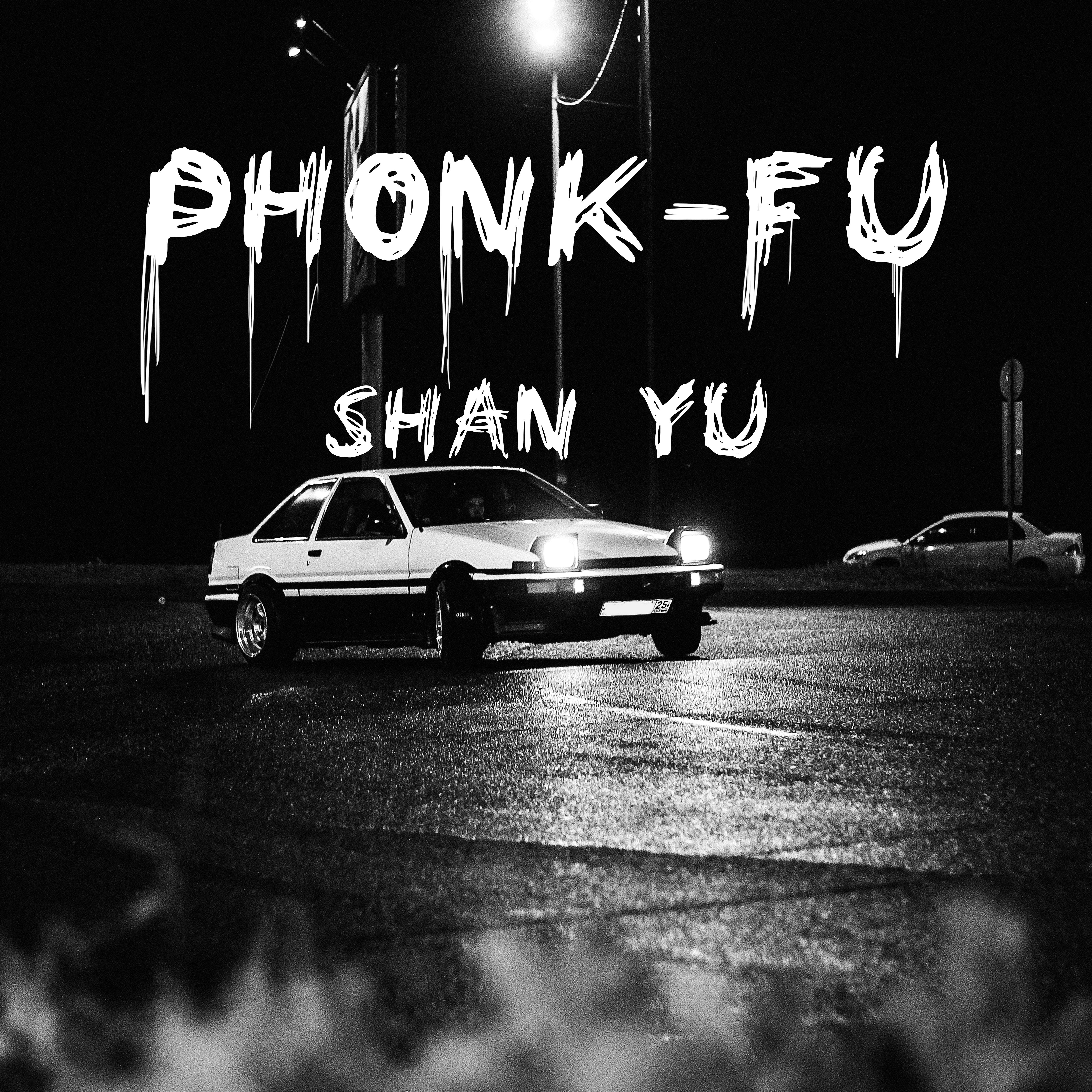 Постер альбома Phonk-fu