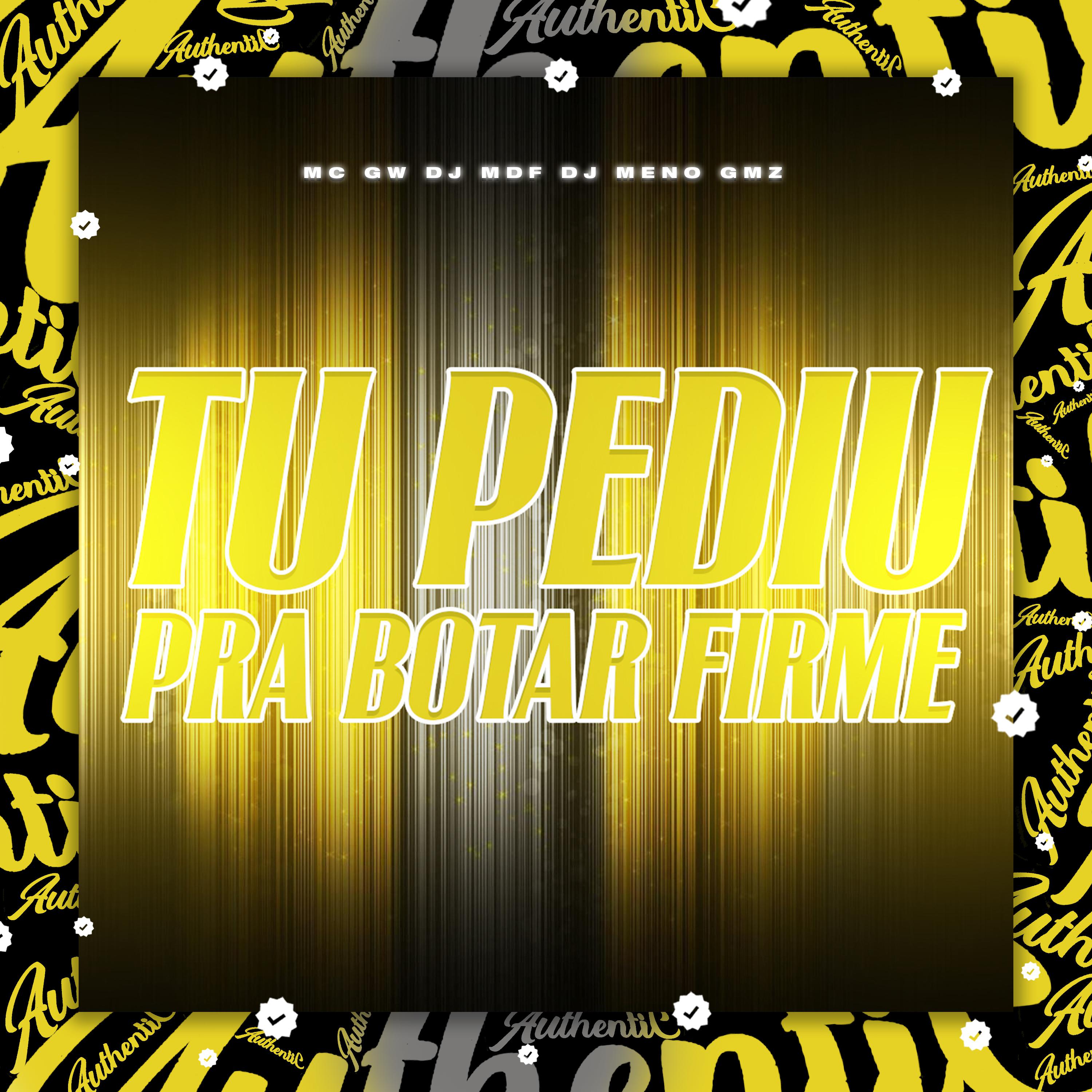 Постер альбома Tu Pediu pra Botar Firme