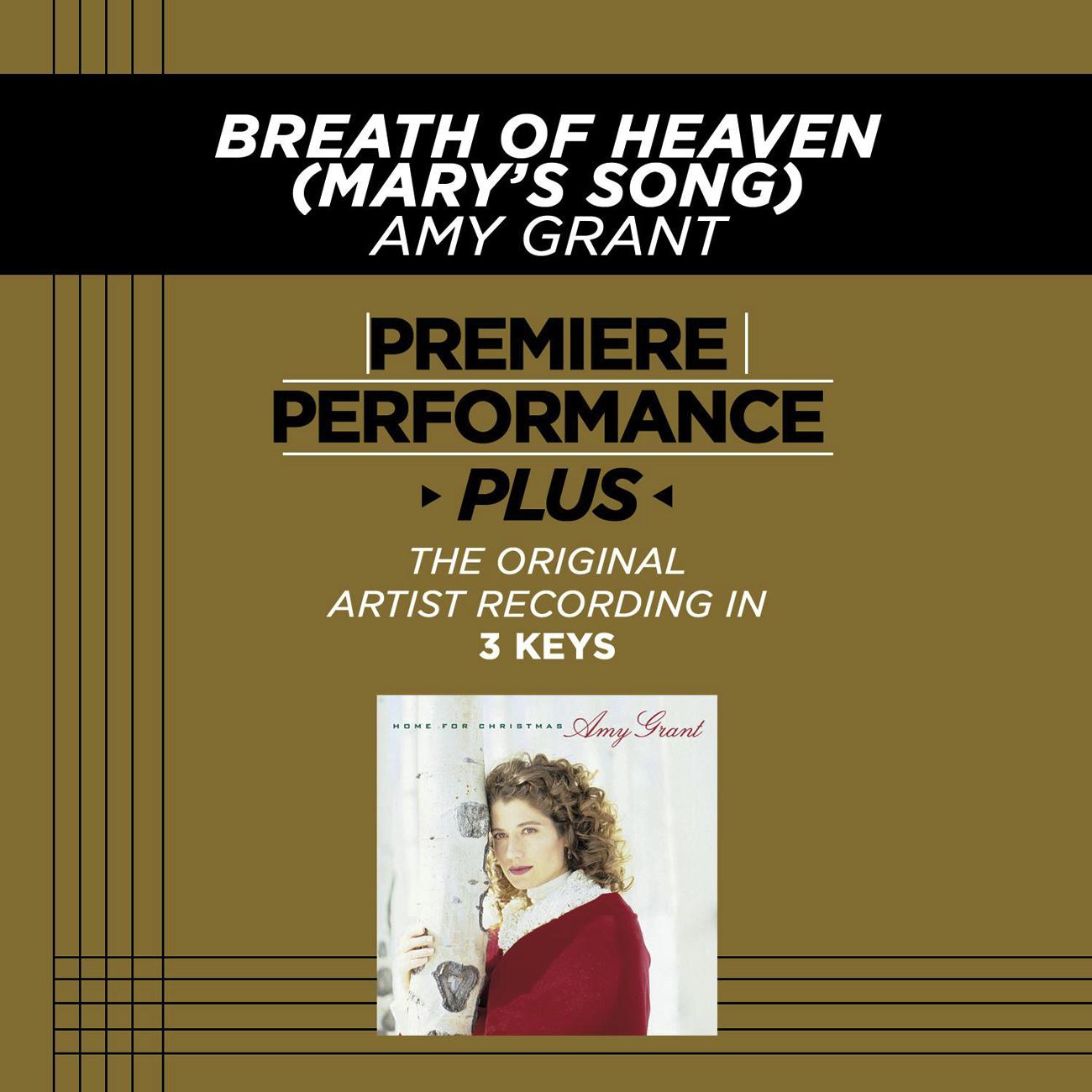 Постер альбома Breath Of Heaven (Mary's Song) [Performance Tracks] - EP