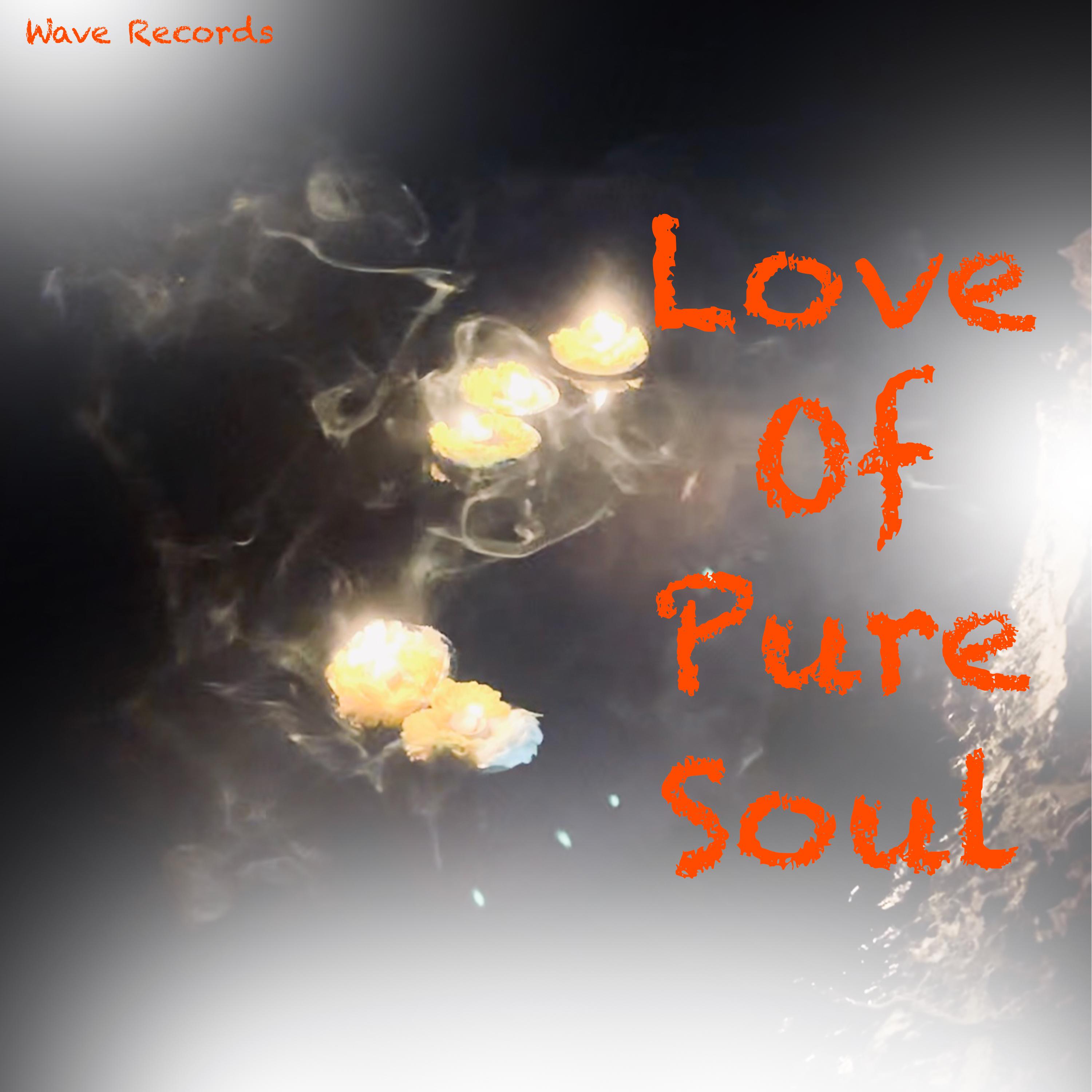 Постер альбома Love Of Pure Soul