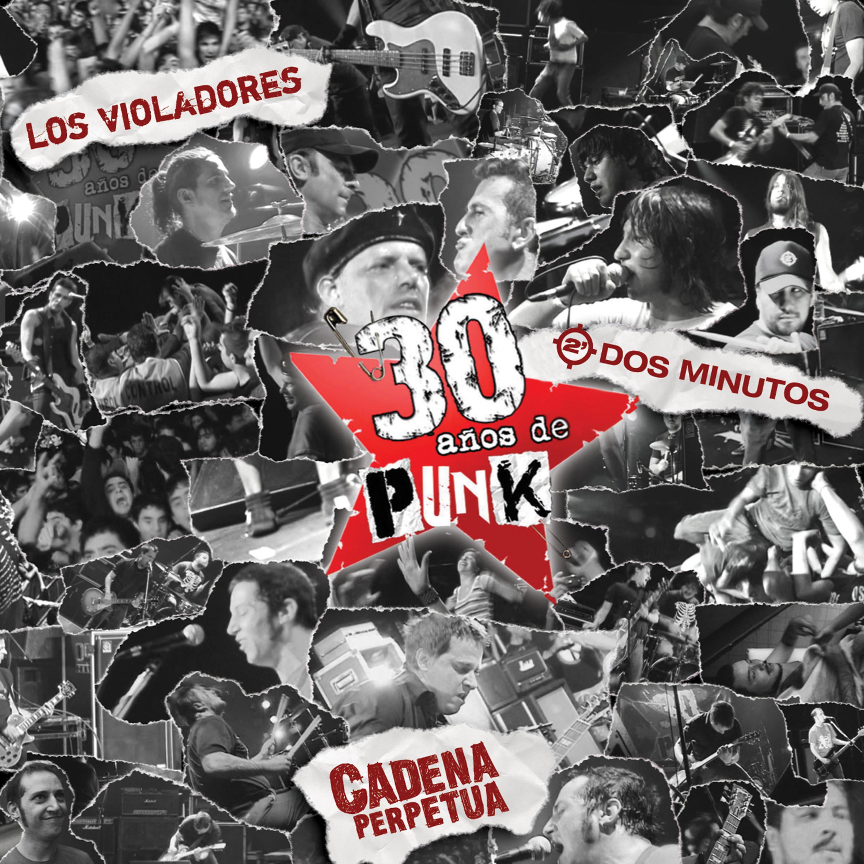 Постер альбома 30 años de Punk
