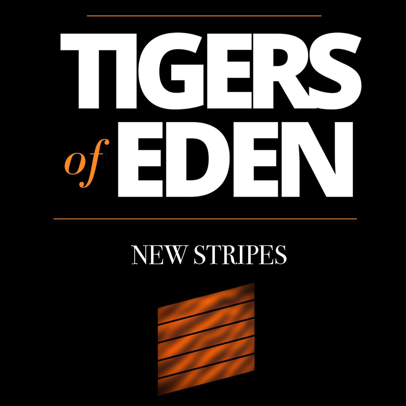 Постер альбома New Stripes