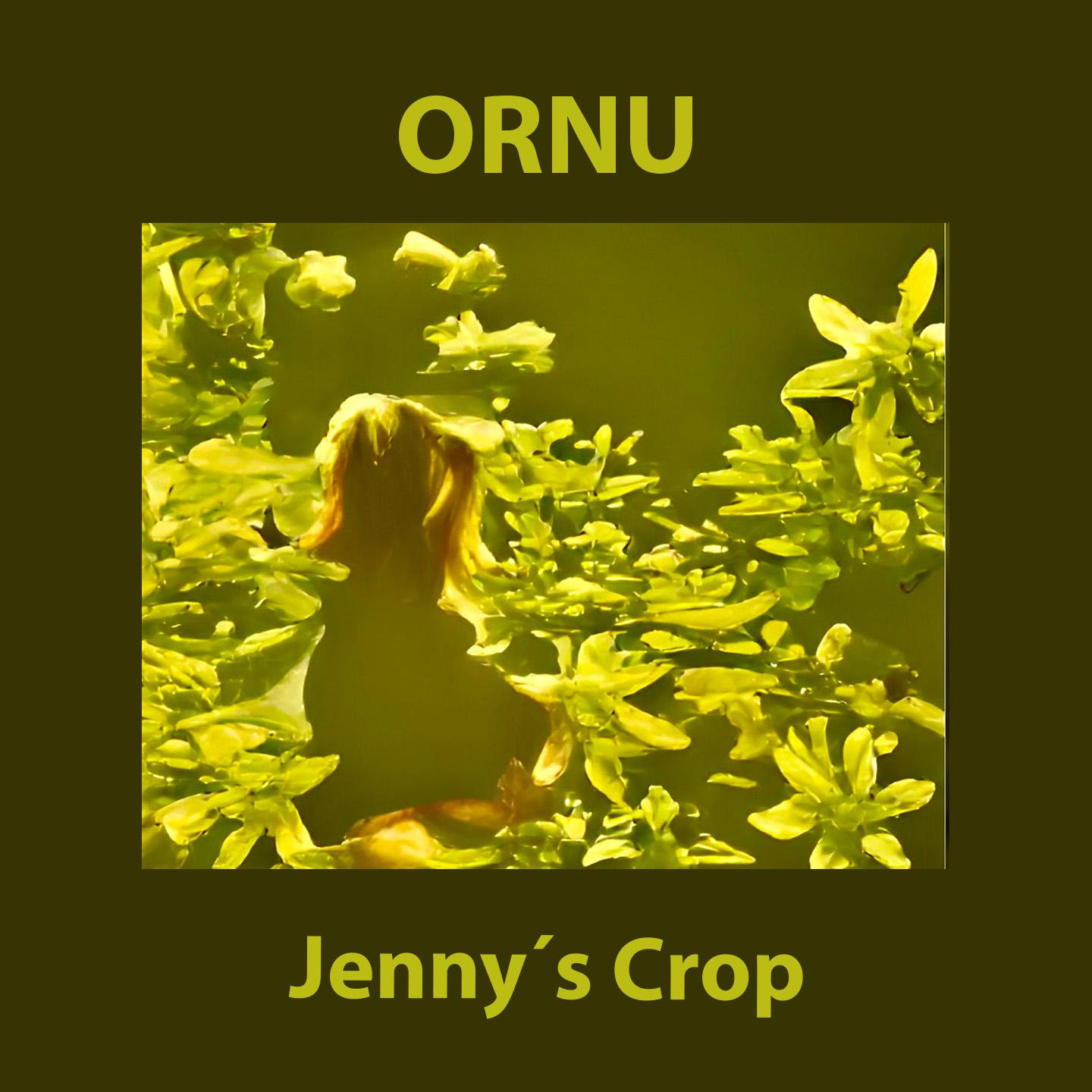 Постер альбома Jennys Crop