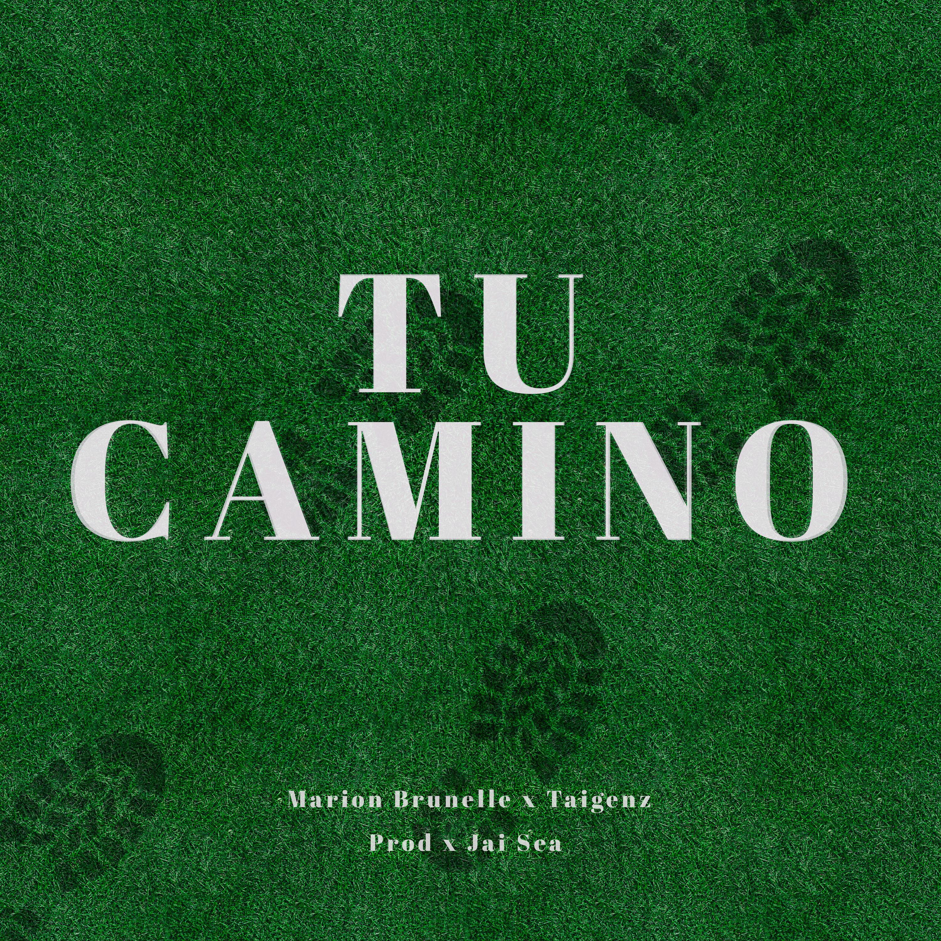 Постер альбома Tu Camino