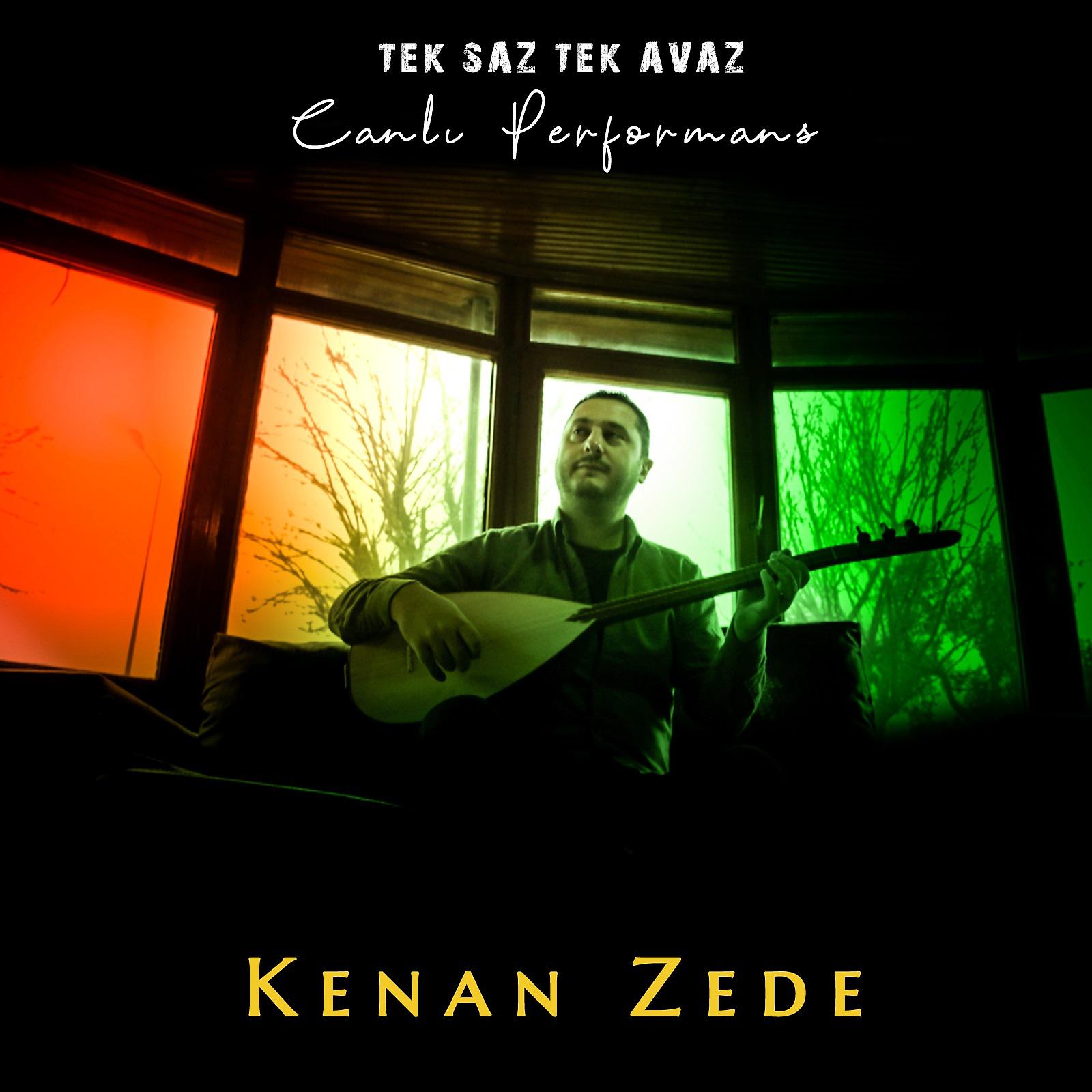 Постер альбома Tek Saz Tek Avaz