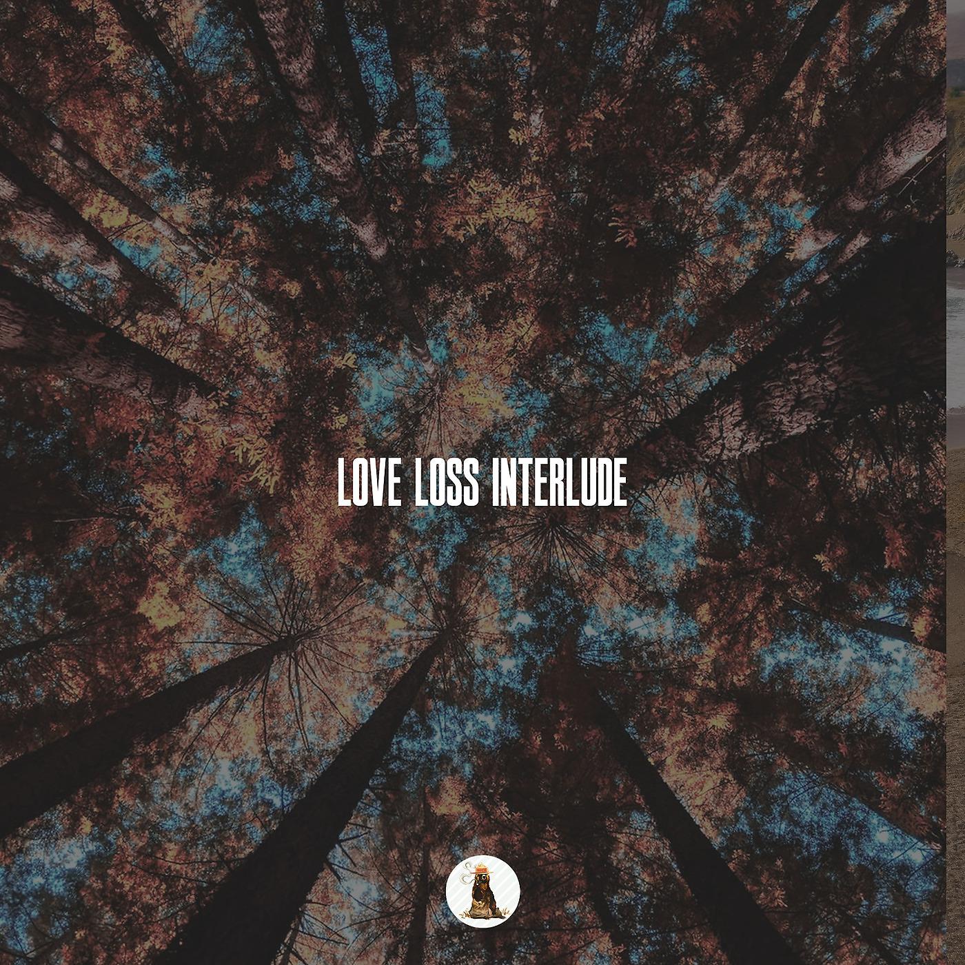 Постер альбома Love, Loss, Interlude