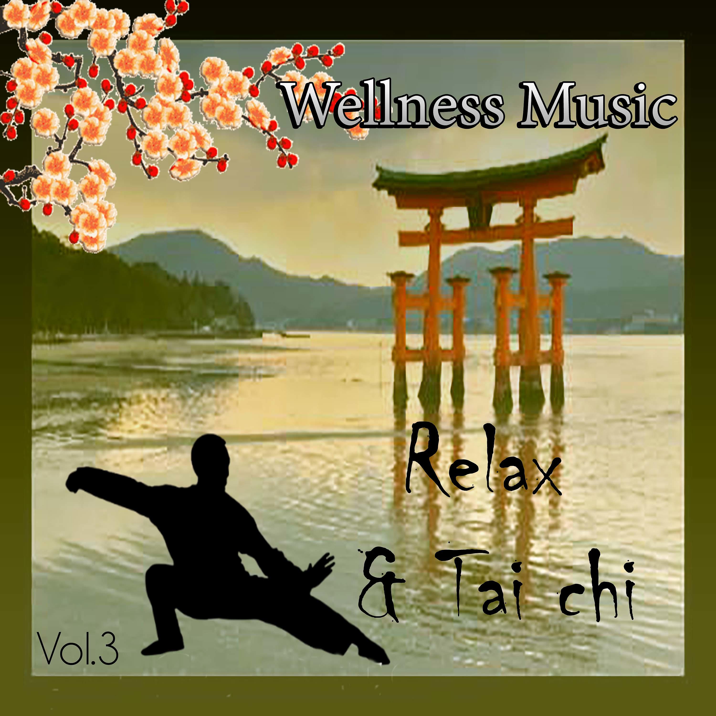 Постер альбома Wellness Music - Relax & Tai Chi, Vol. 3
