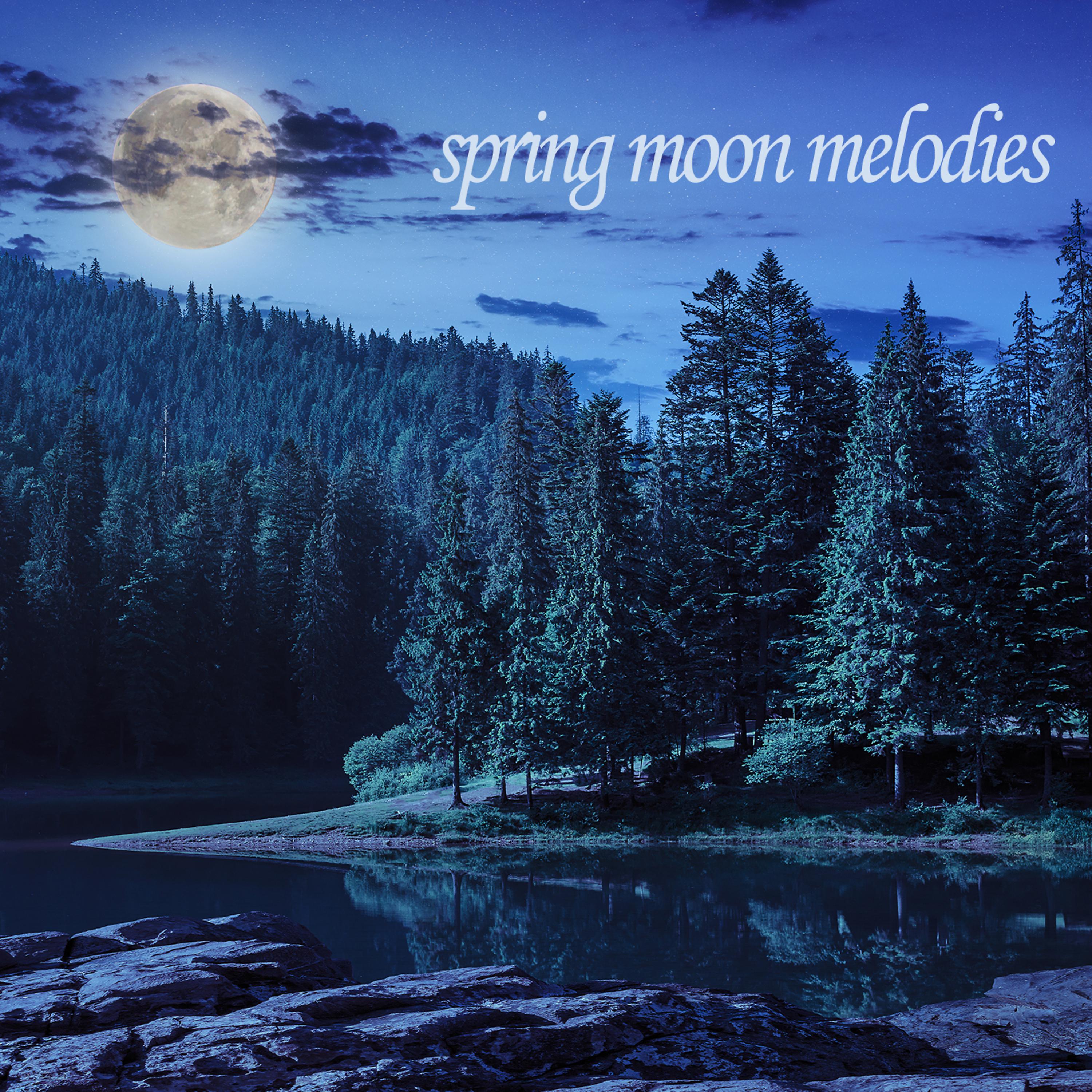 Постер альбома Spring Moon Melodies