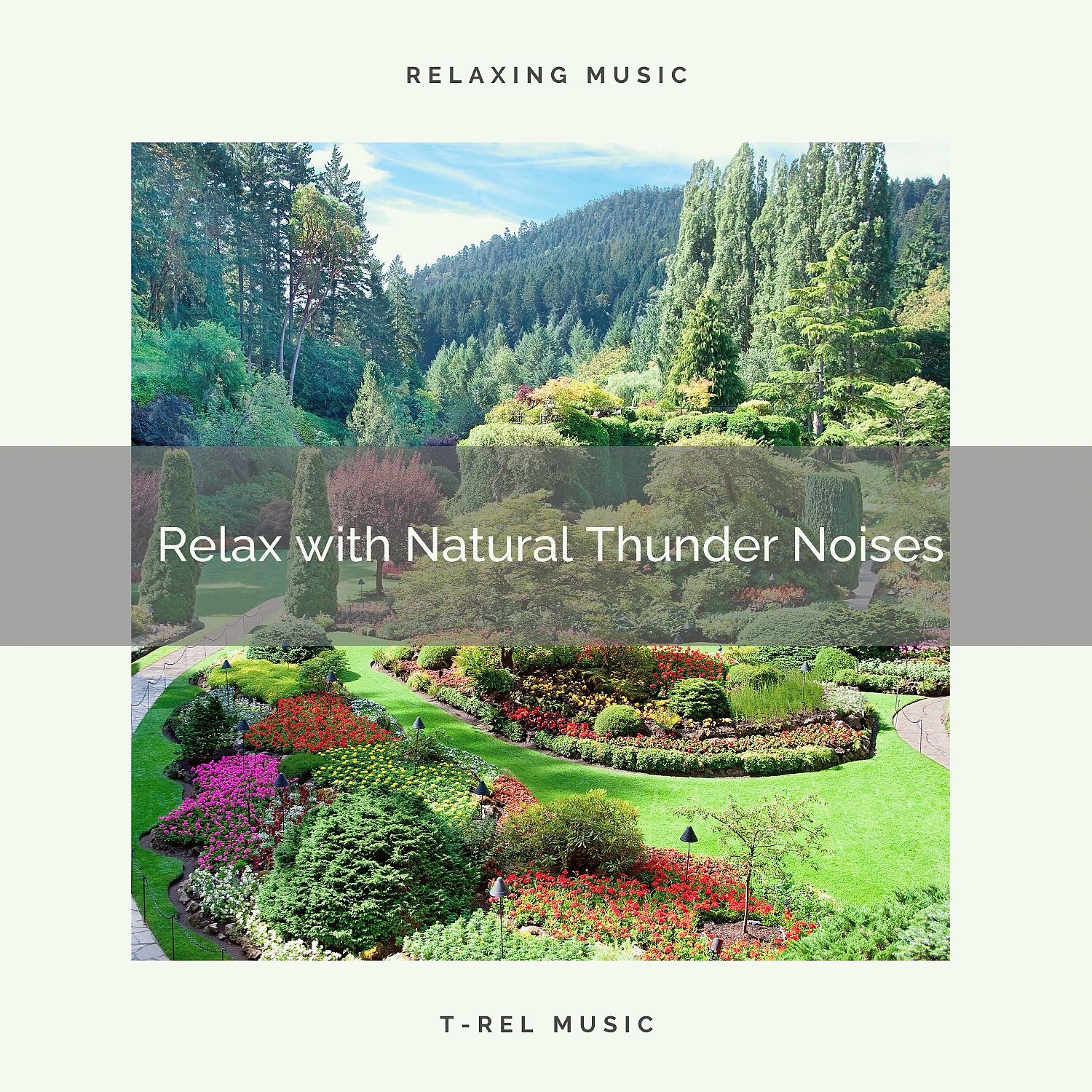 Постер альбома Relax with Natural Thunder Noises