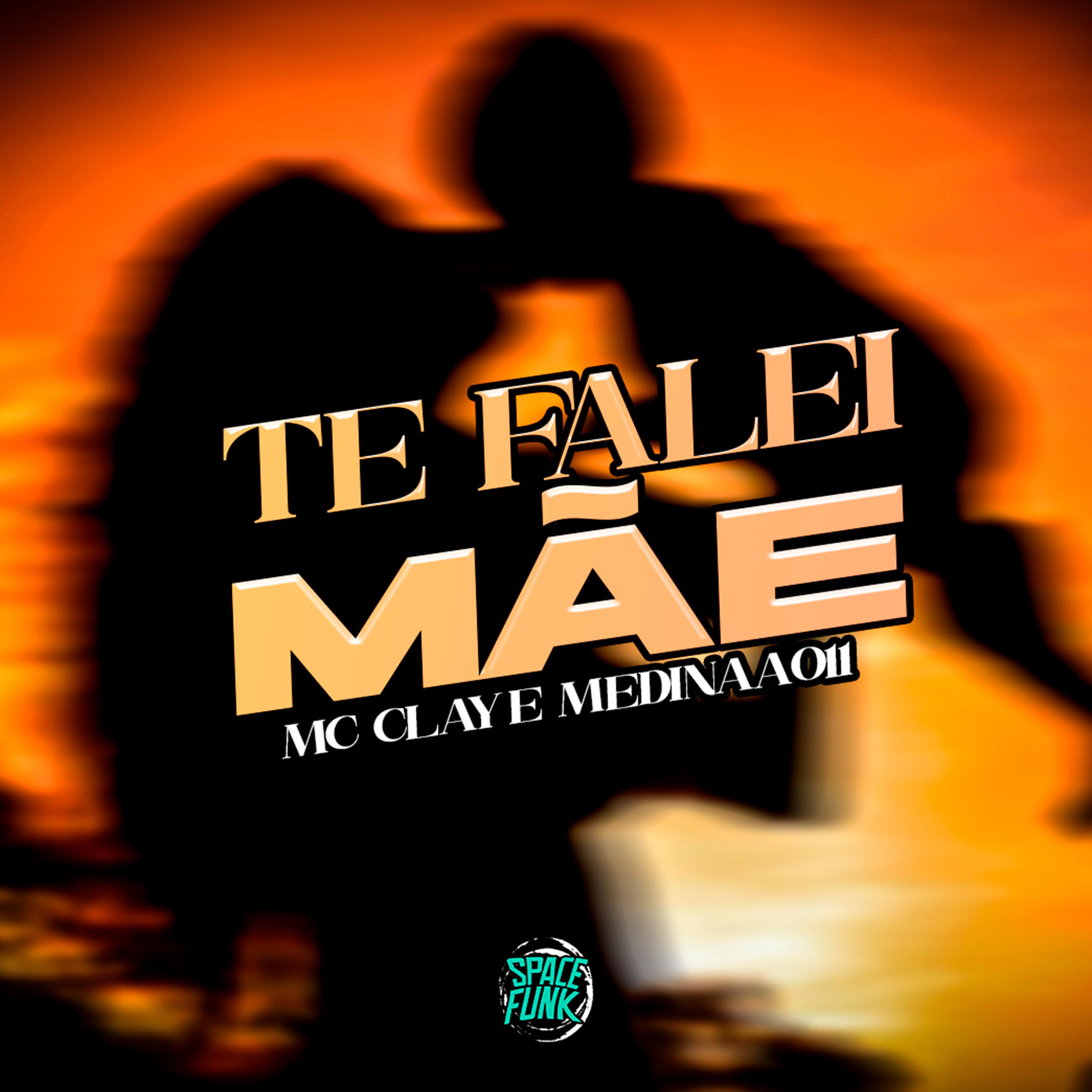 Постер альбома Te Falei Mãe