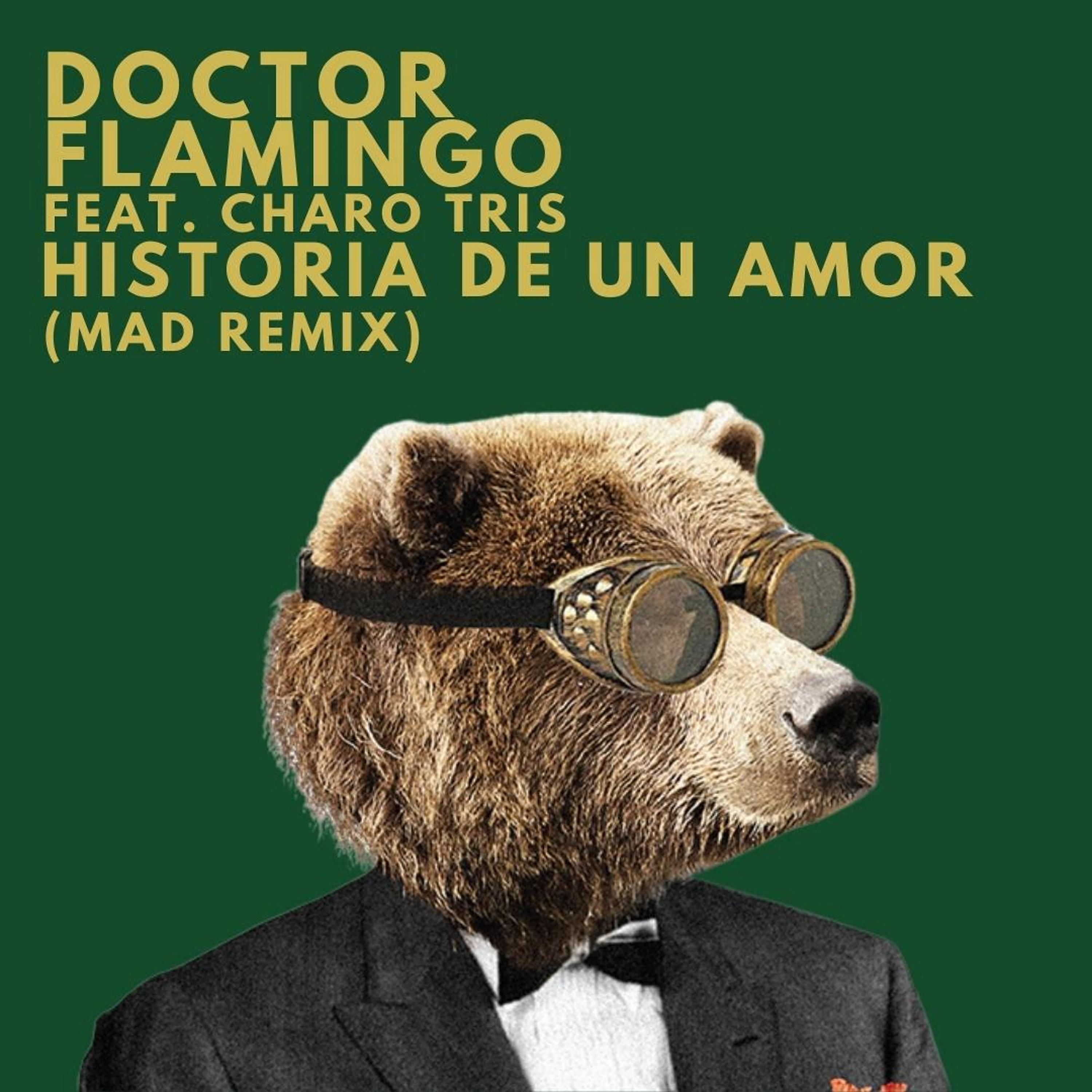Постер альбома Historia de un Amor (Mad Remix)