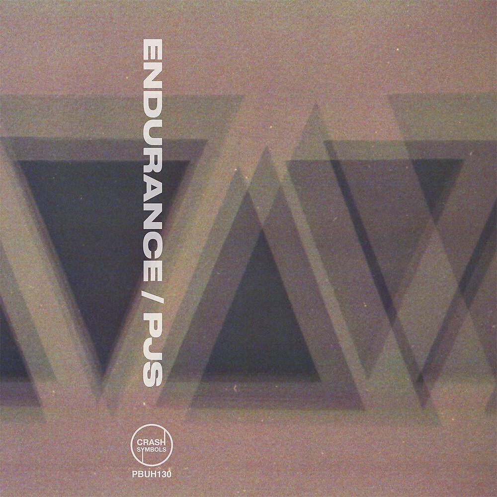 Постер альбома Endurance/PJS