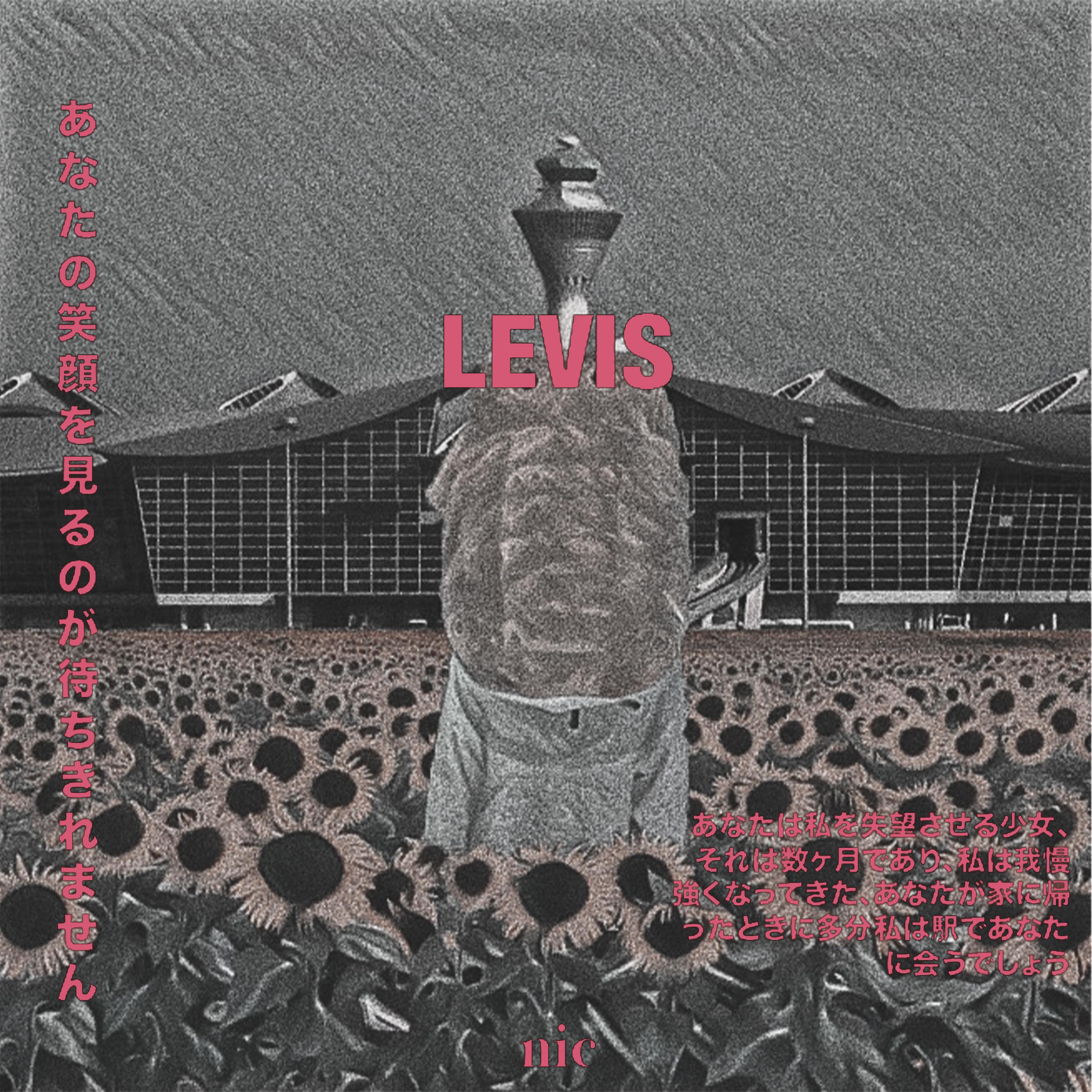 Постер альбома Levis