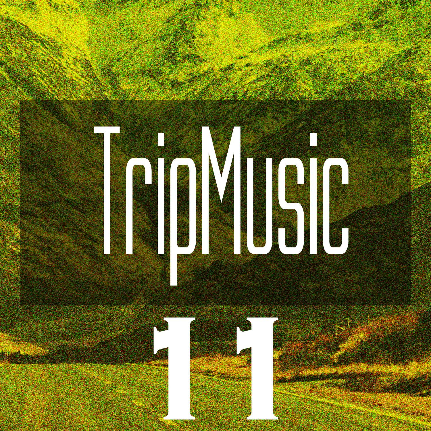 Постер альбома TripMusic 11