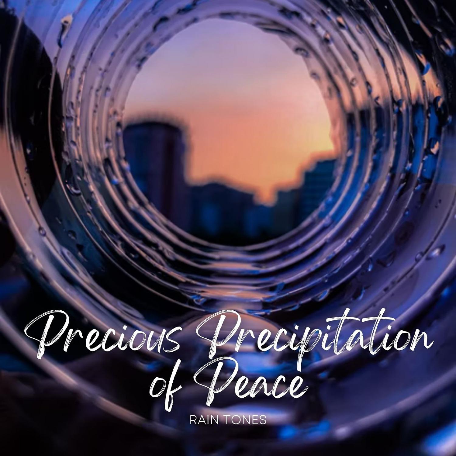 Постер альбома Rain Tones: Precious Precipitation of Peace