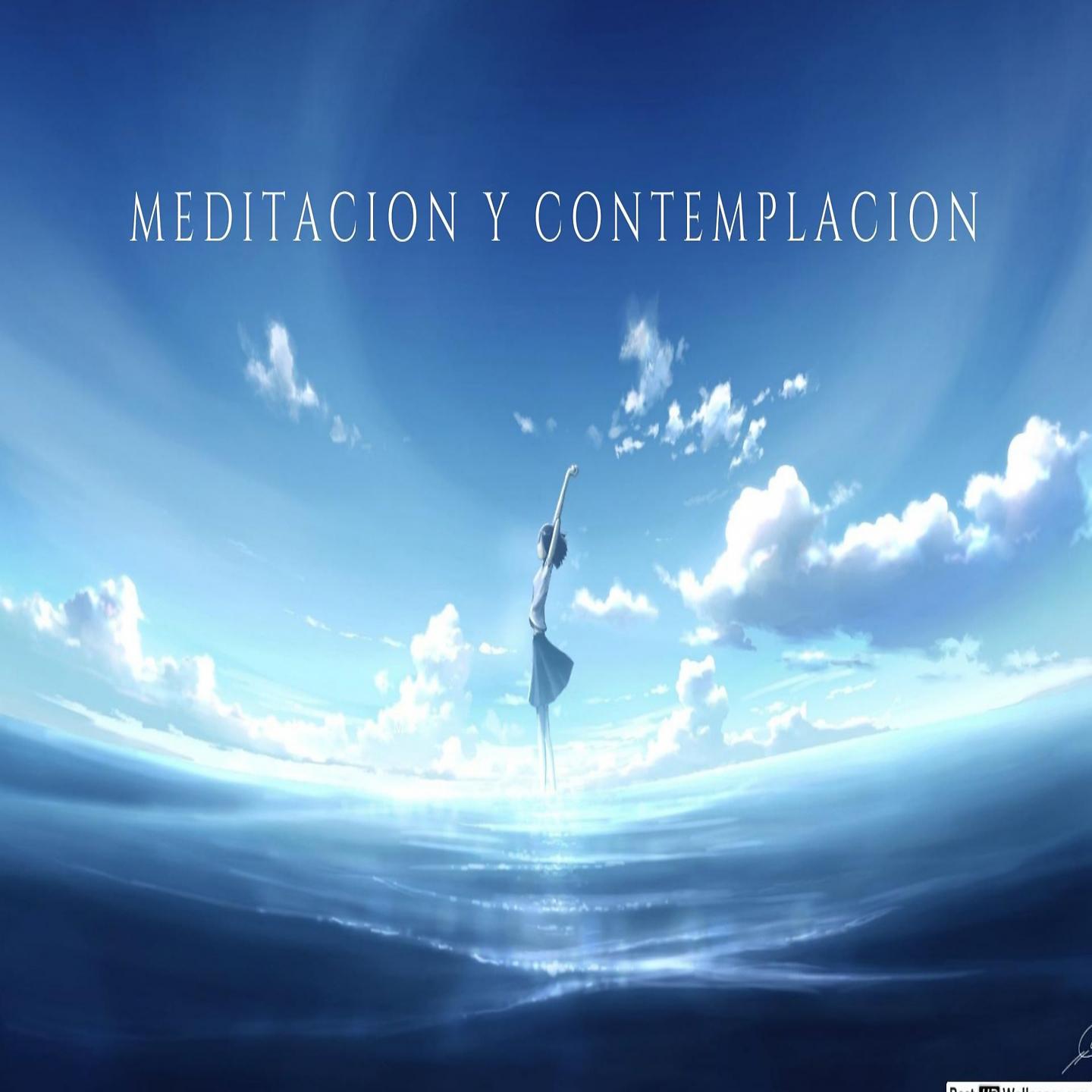 Постер альбома Meditacion y Contemplacion