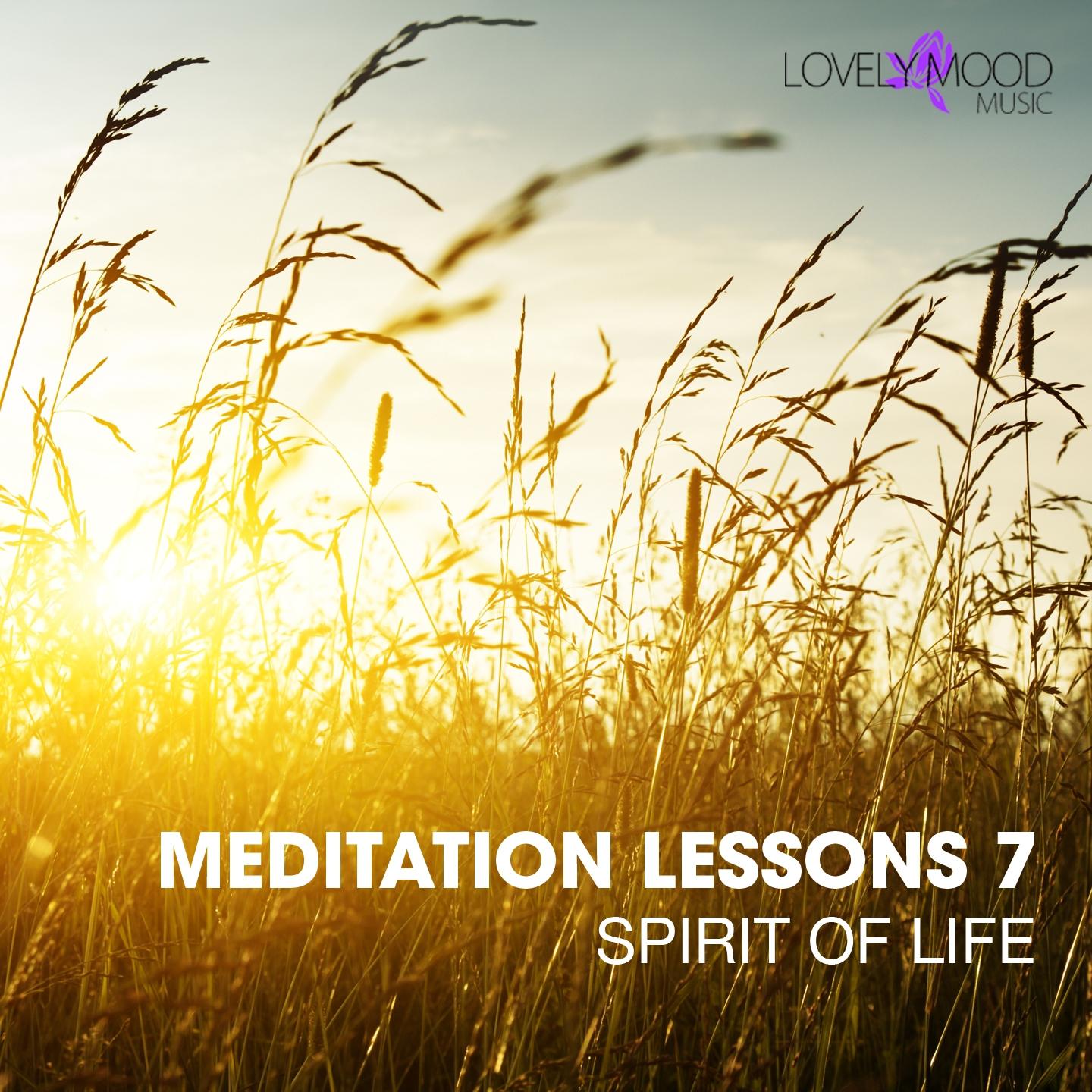 Постер альбома Meditation Lesson 7 - Spirit of Life