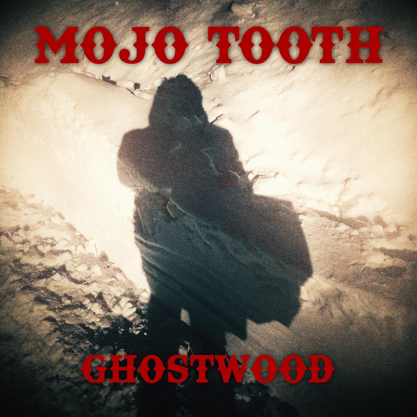 Постер альбома Ghostwood
