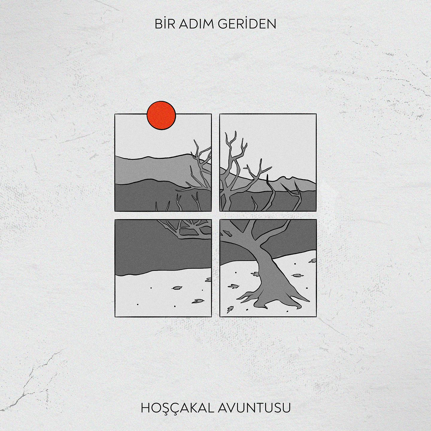 Постер альбома Hoşçakal Avuntusu