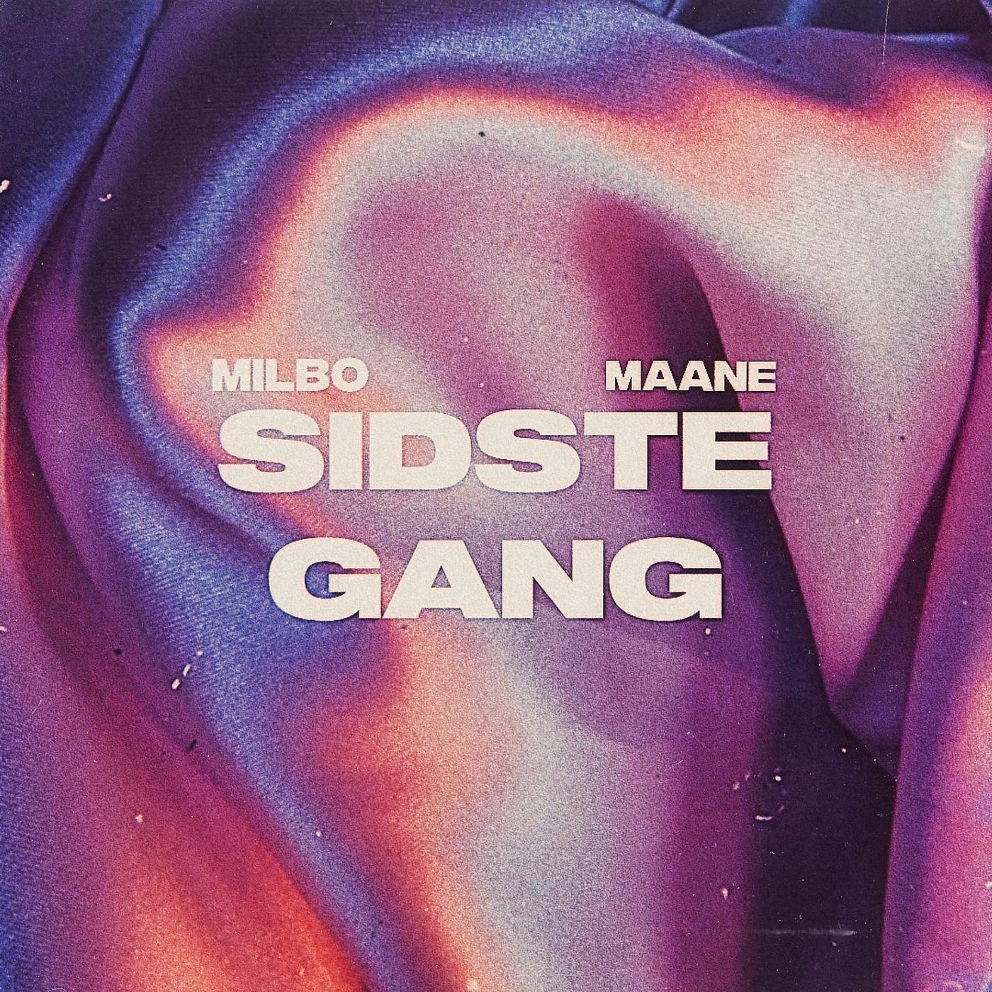 Постер альбома Sidste Gang