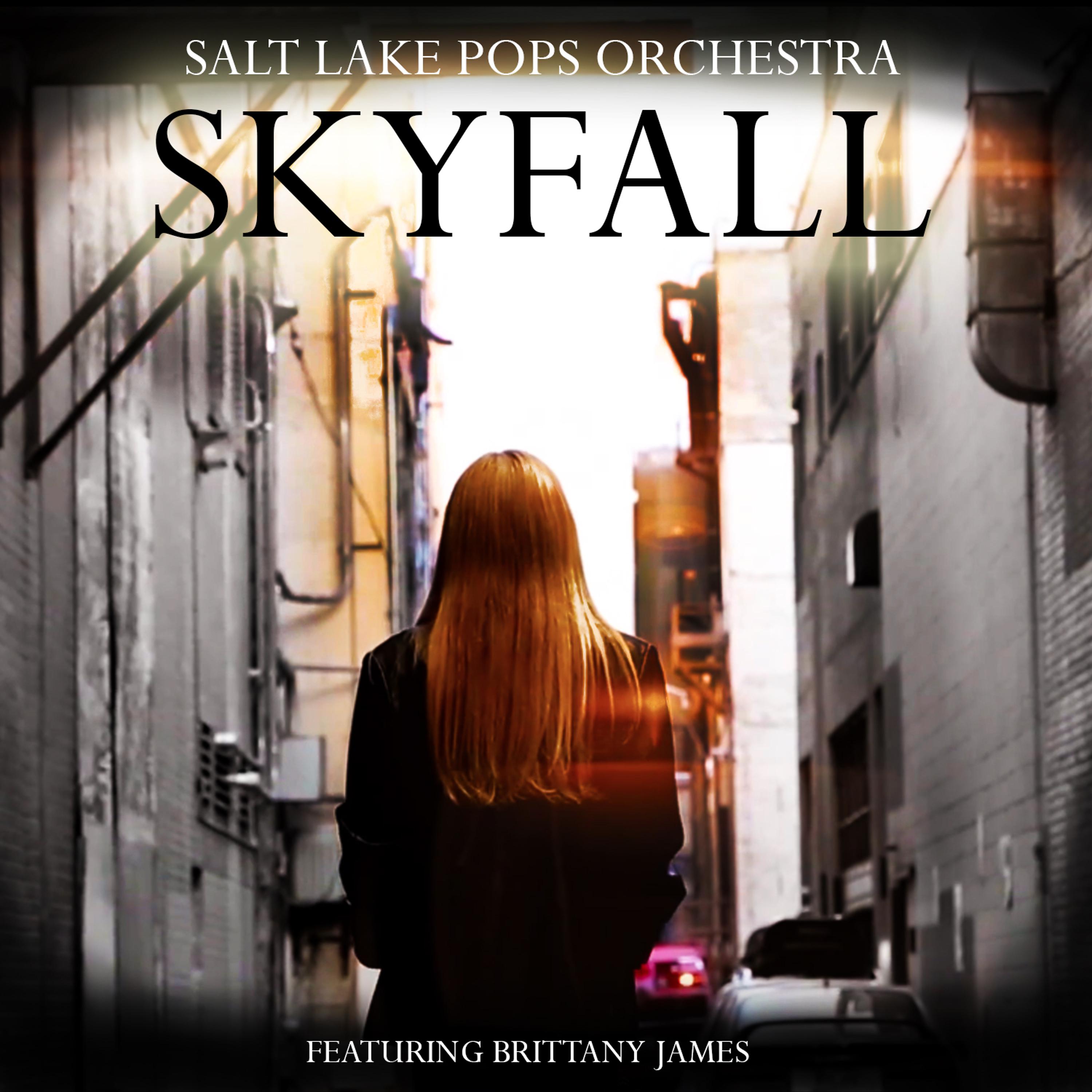 Постер альбома Skyfall (feat. Brittany James)